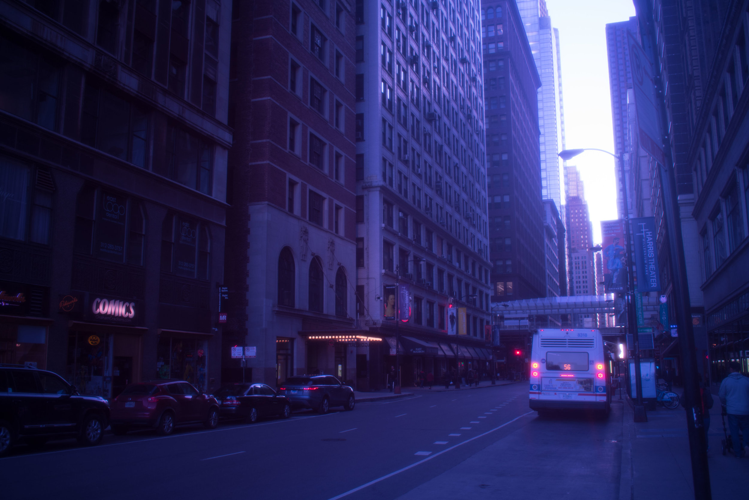 Purple-26.jpg
