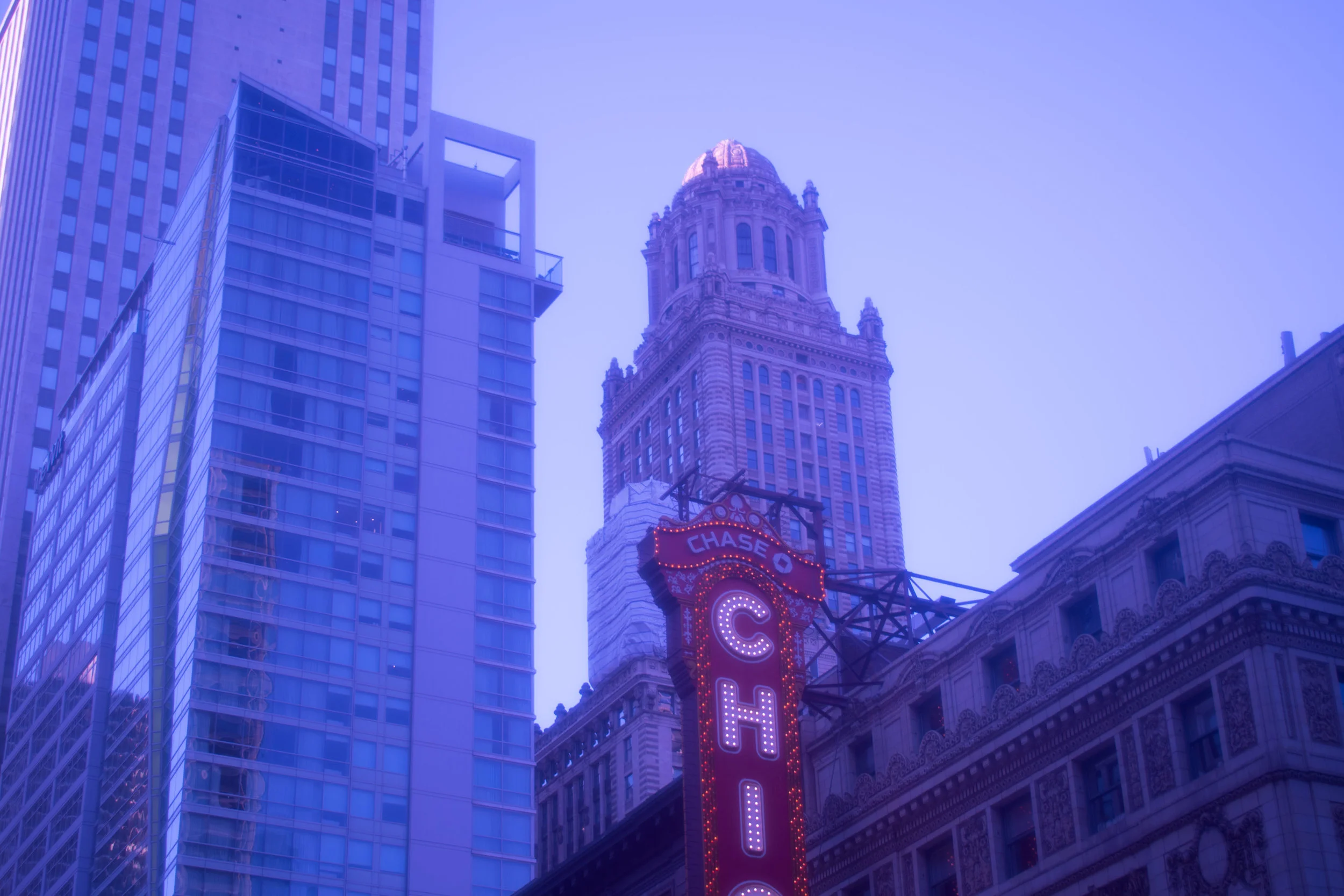 Purple-45.jpg