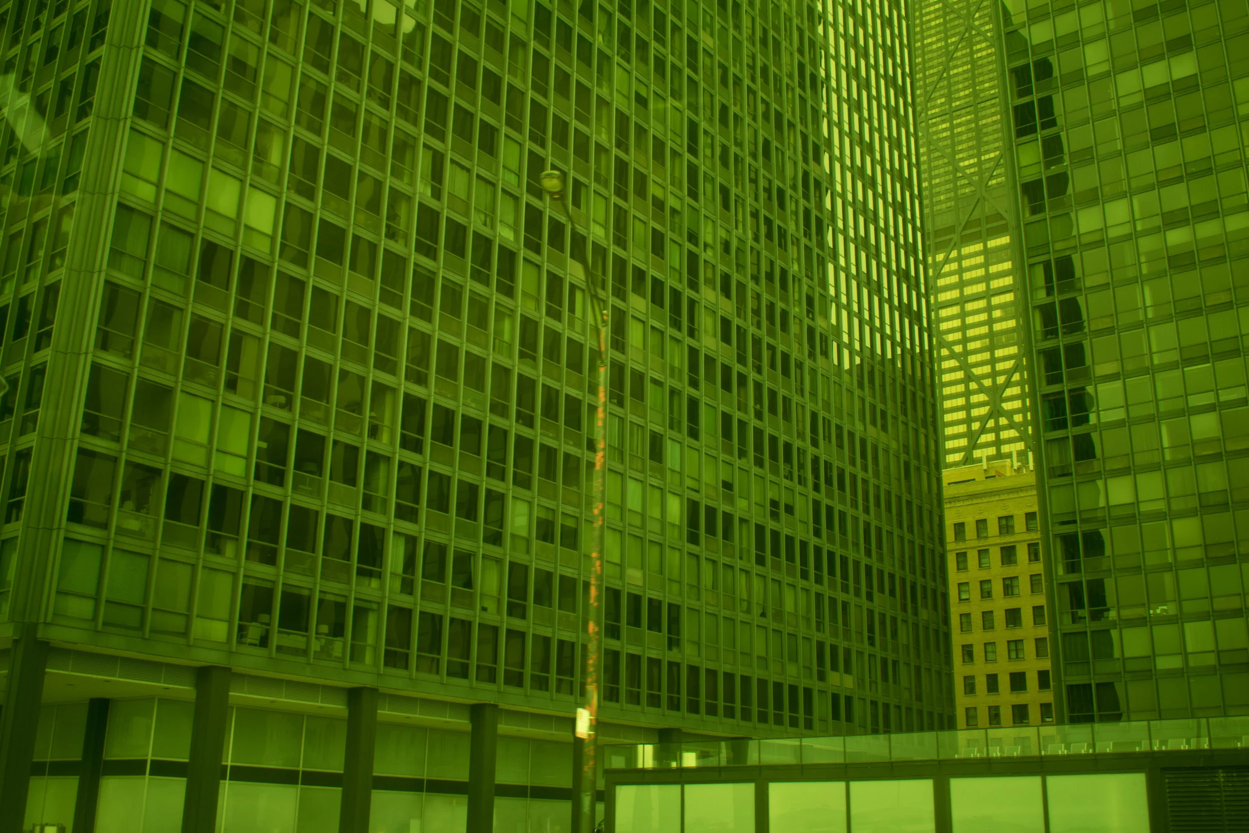 Yellow-15.jpg