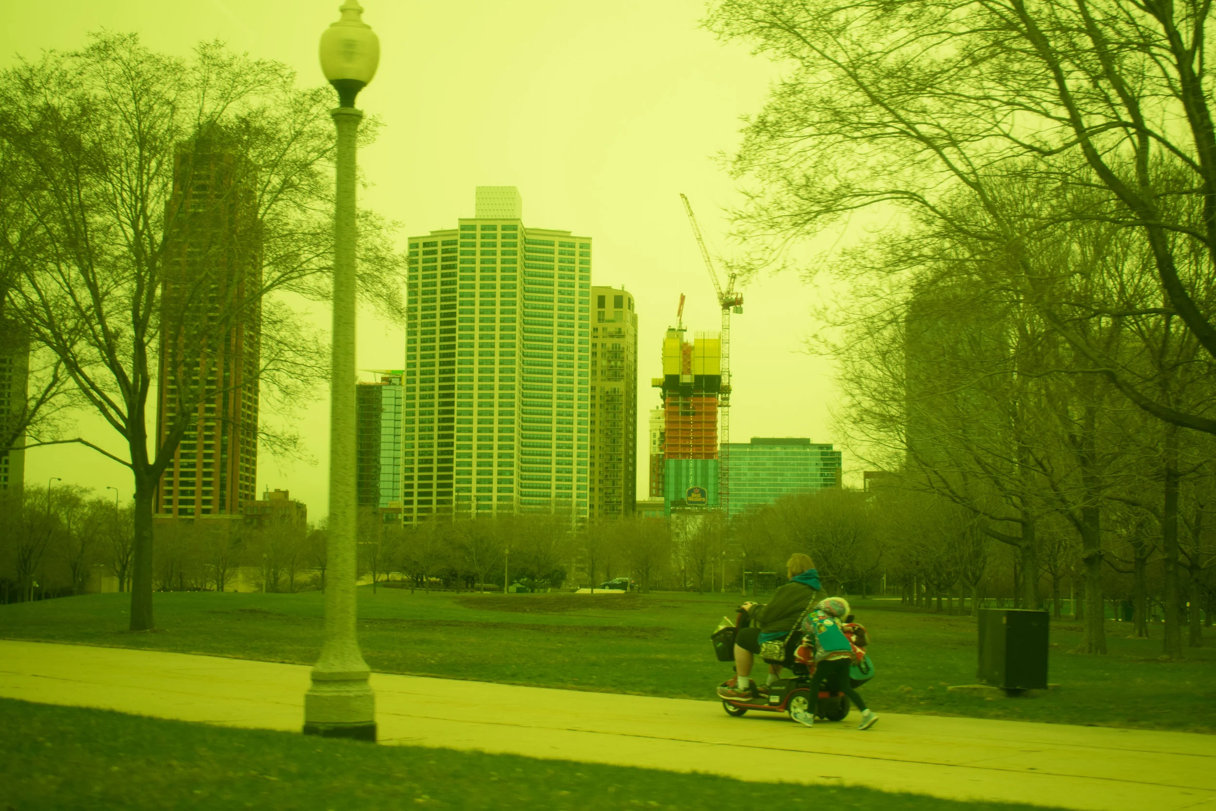 Yellow-38.jpg