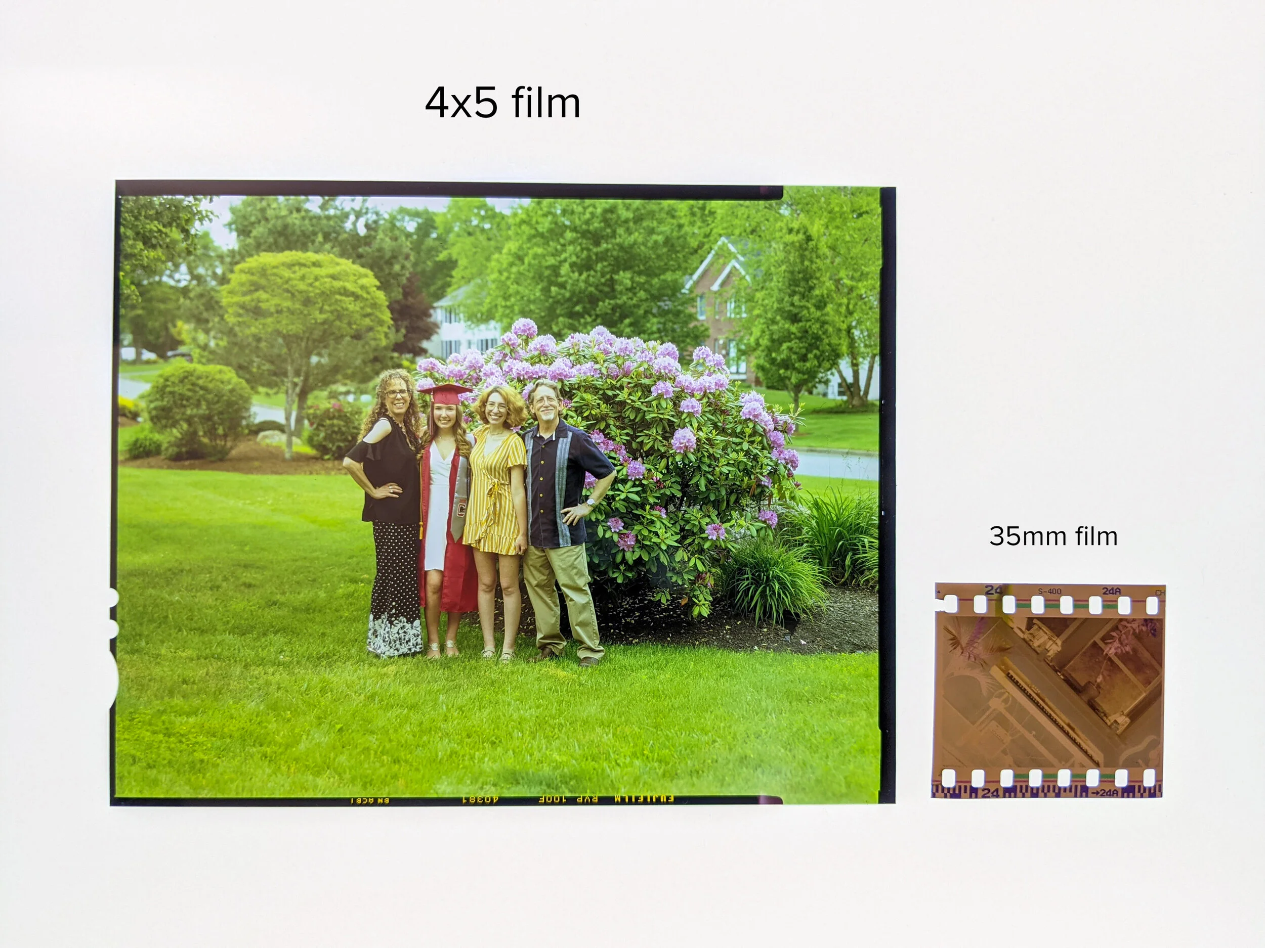 A sheet of 4x5 vs a frame of 35mm