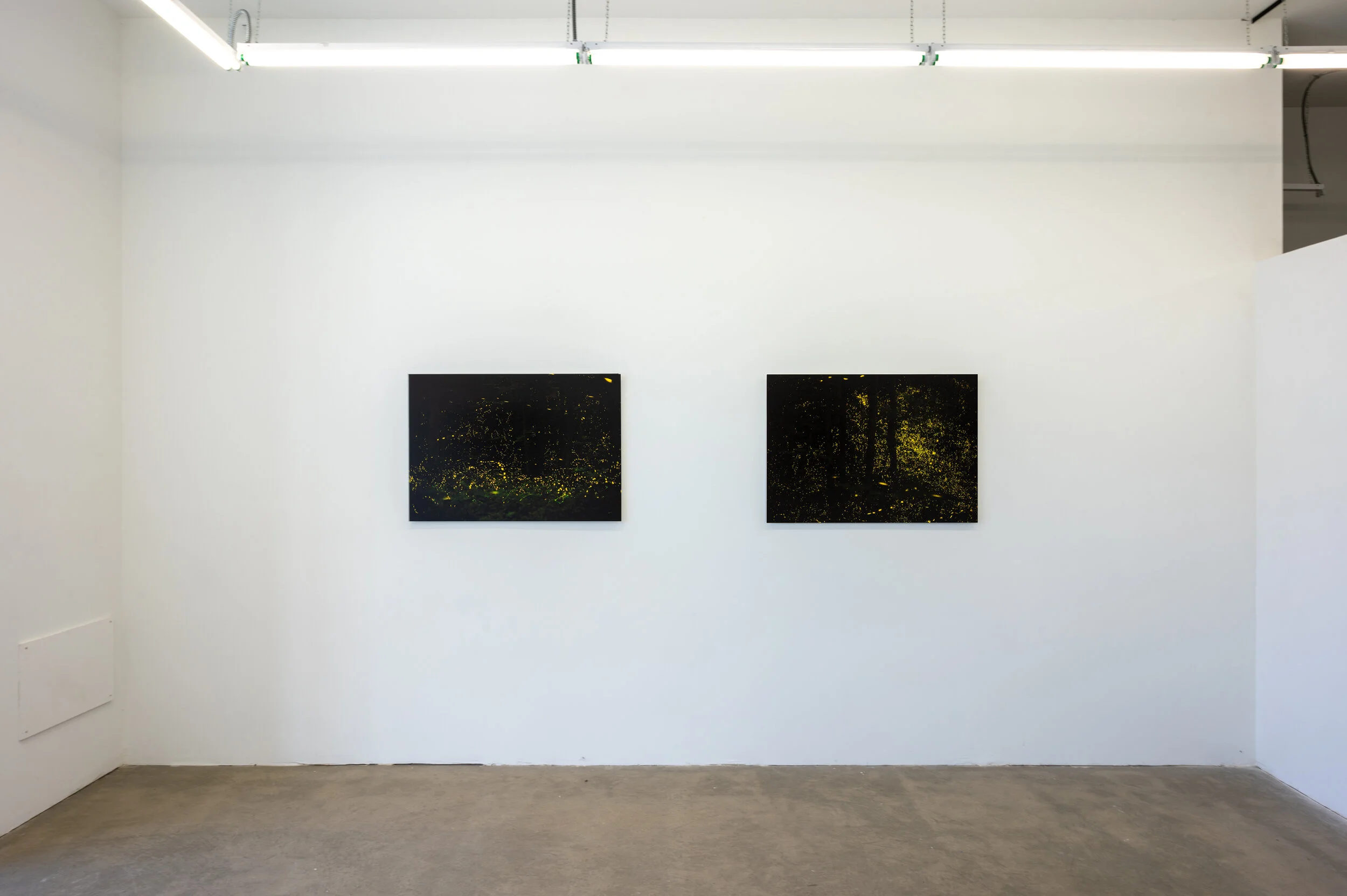 Intentional Attention Install 3.jpg