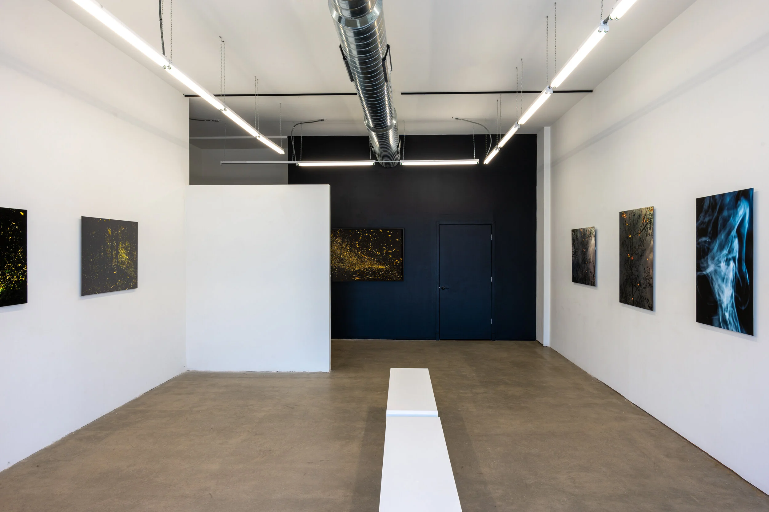 Intentional Attention Install 5.jpg