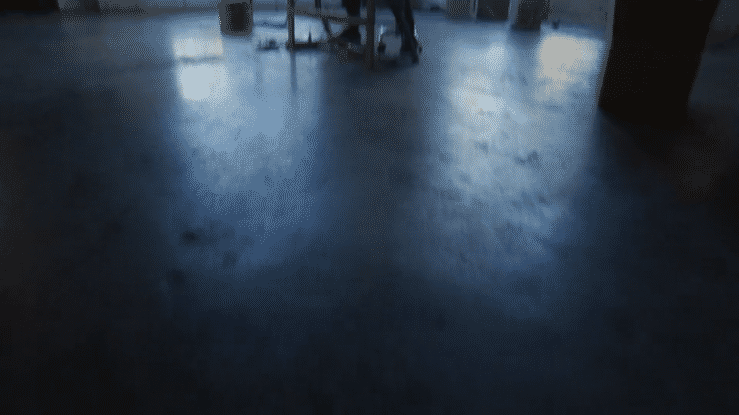 The Grind Lizzie Armanto Bill Farrelly.gif