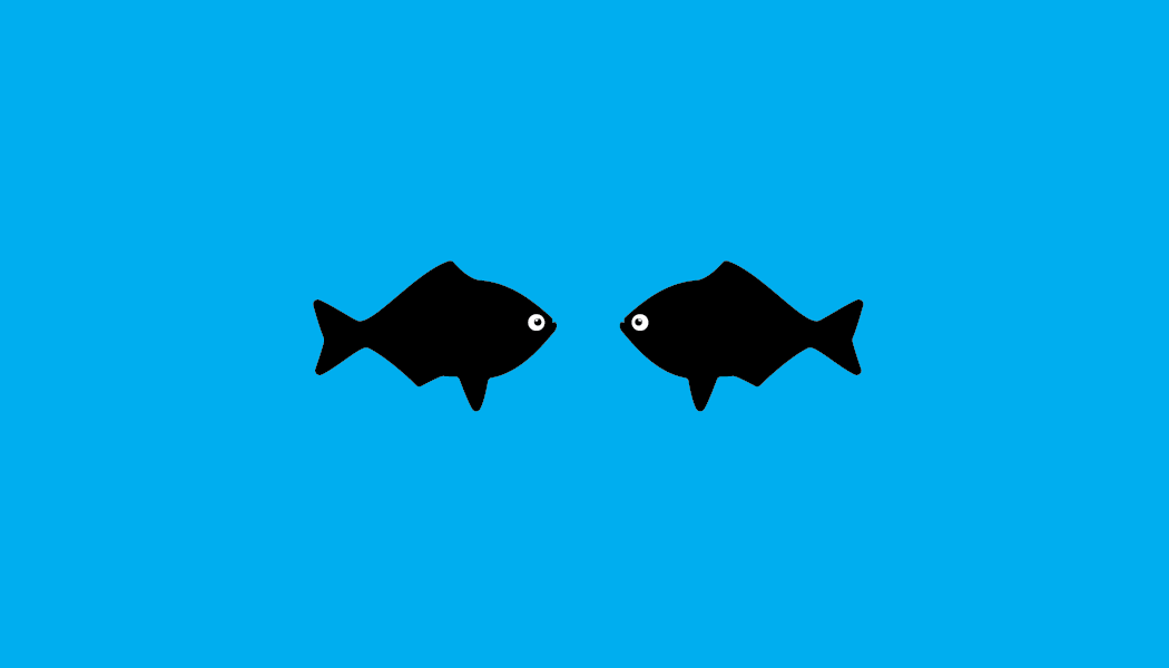 htb-2-fish.png