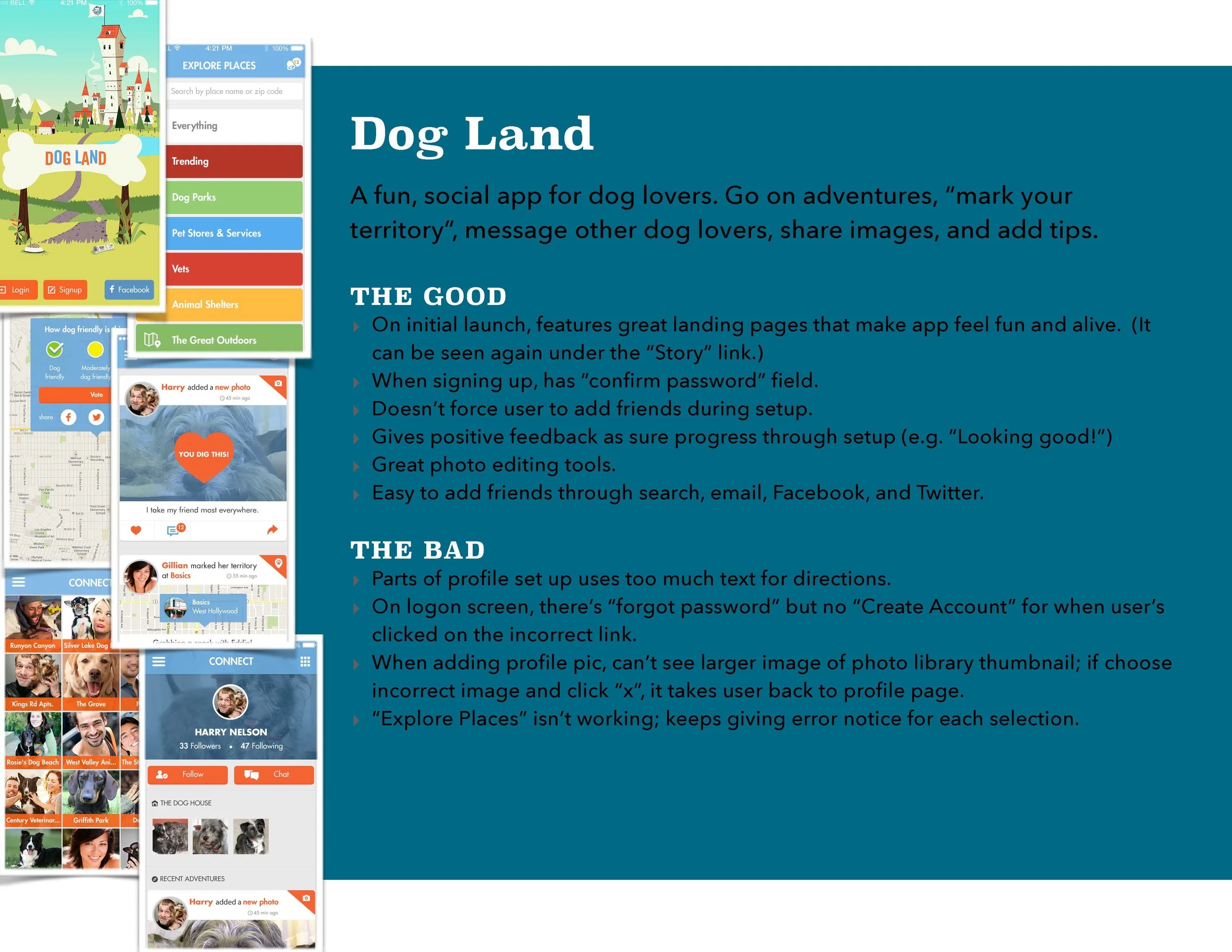 CompetitiveAnalysis_DogLand.jpg