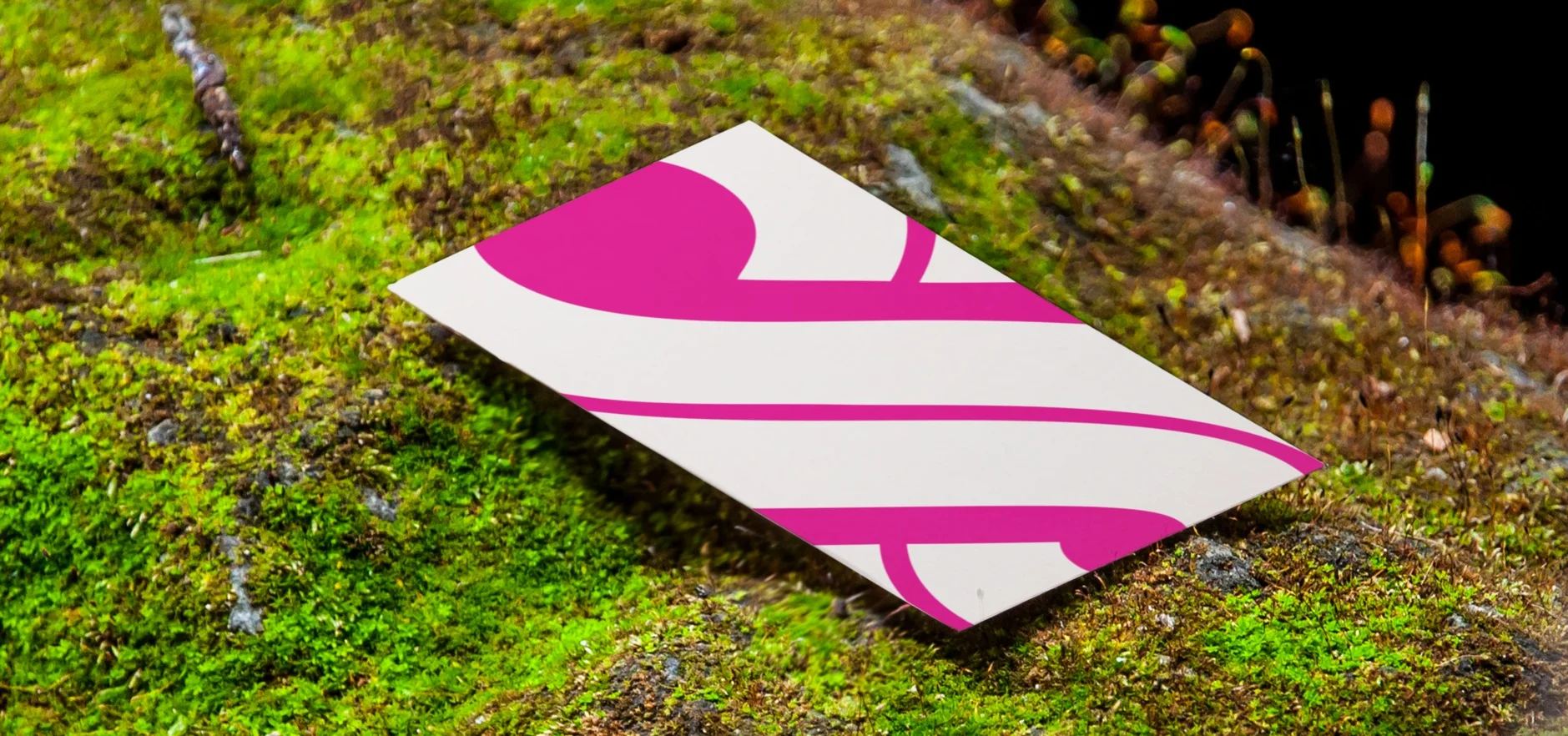 business-card-in-the-nature-wide.jpg