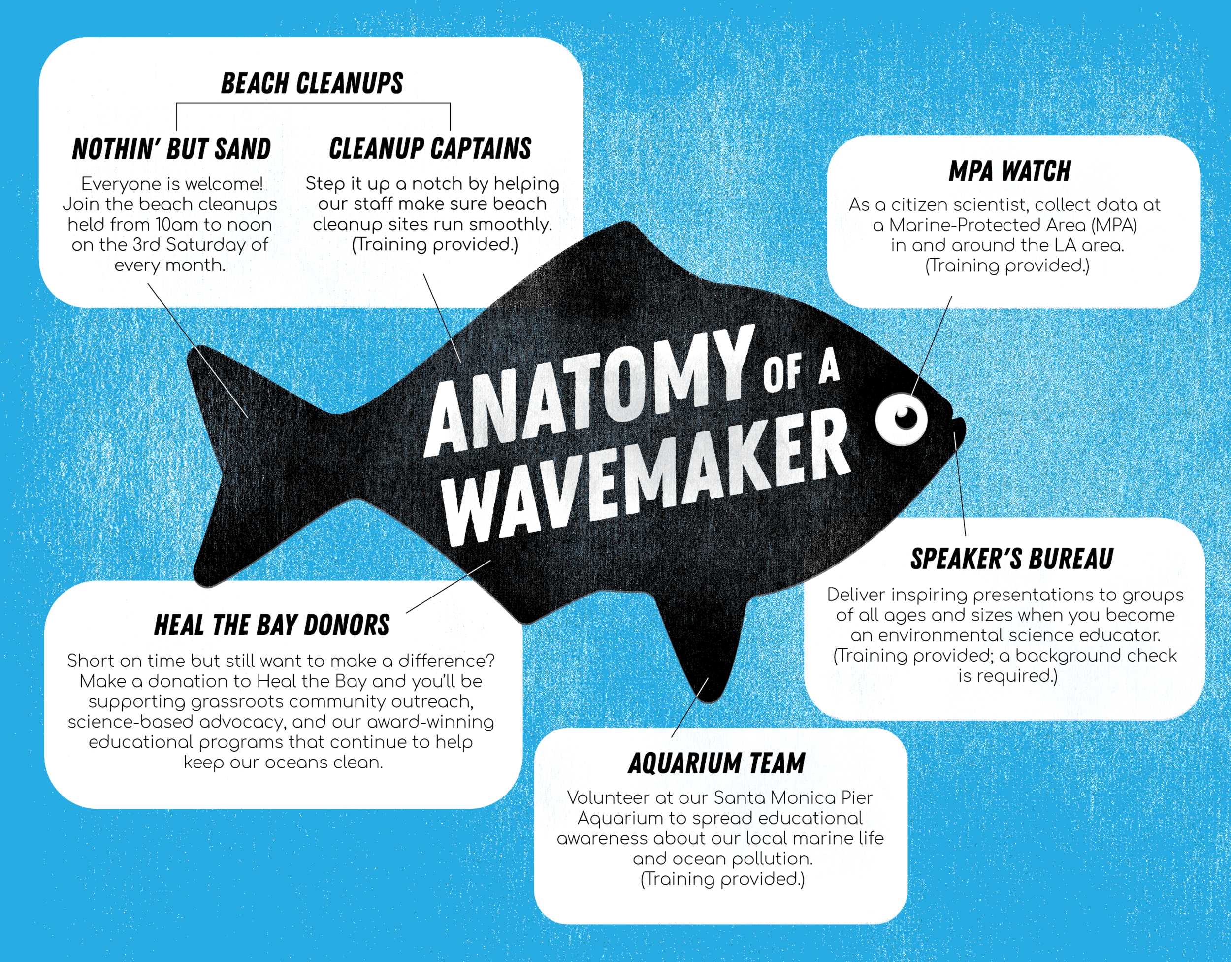 htb-brochure-fish-spread.png