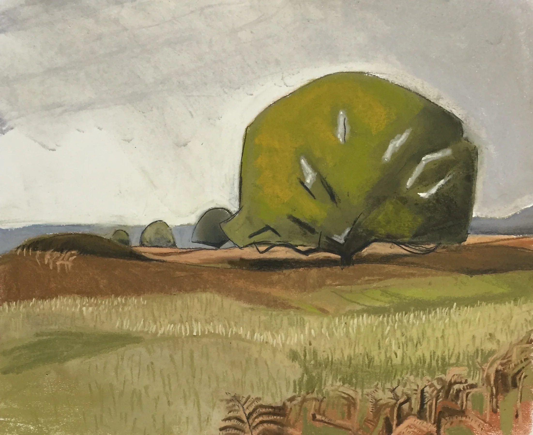 Brettenham Heath, November 2014 pastel on paper 37 x 30 cm