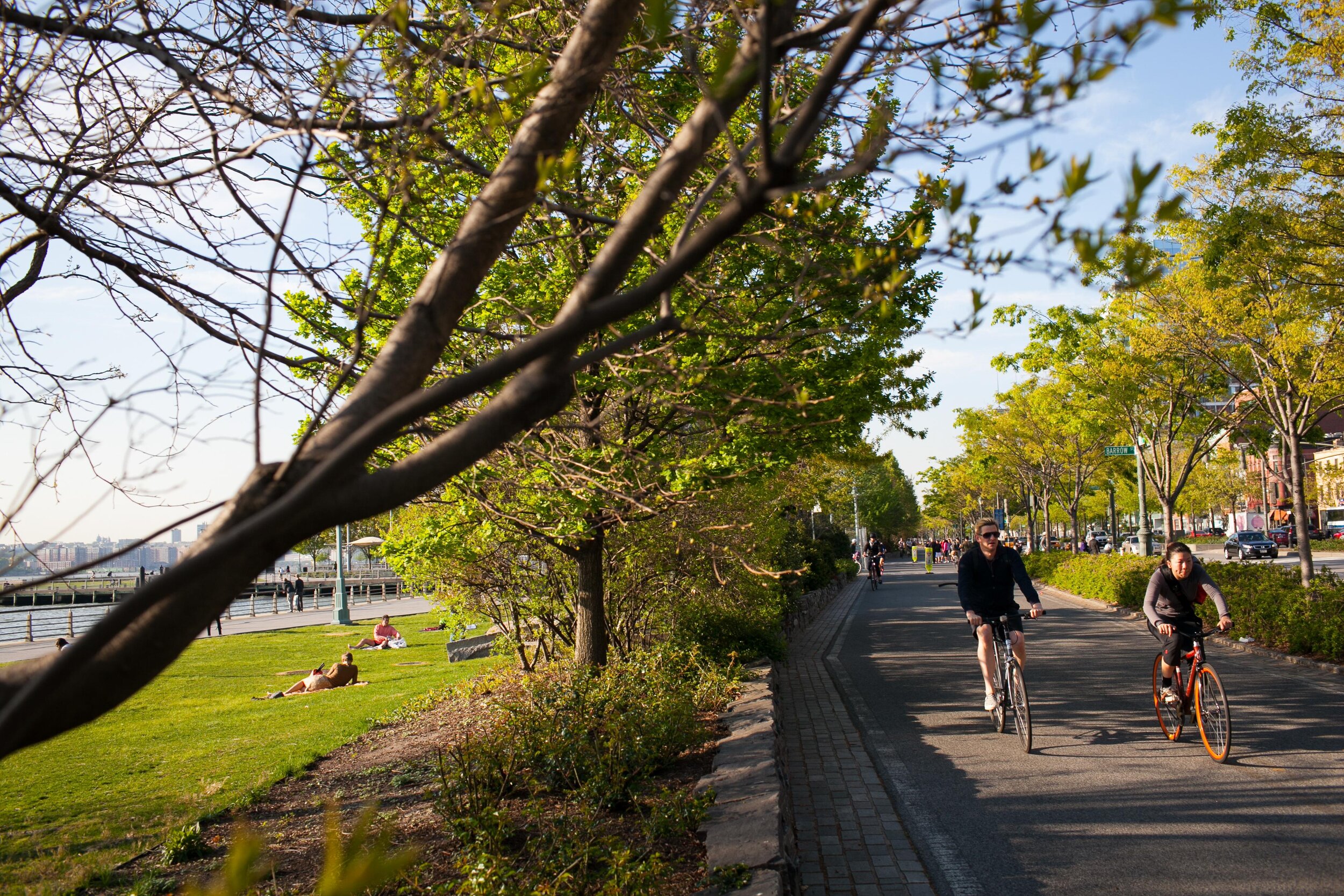 Ringing in the Greenway (Copy)