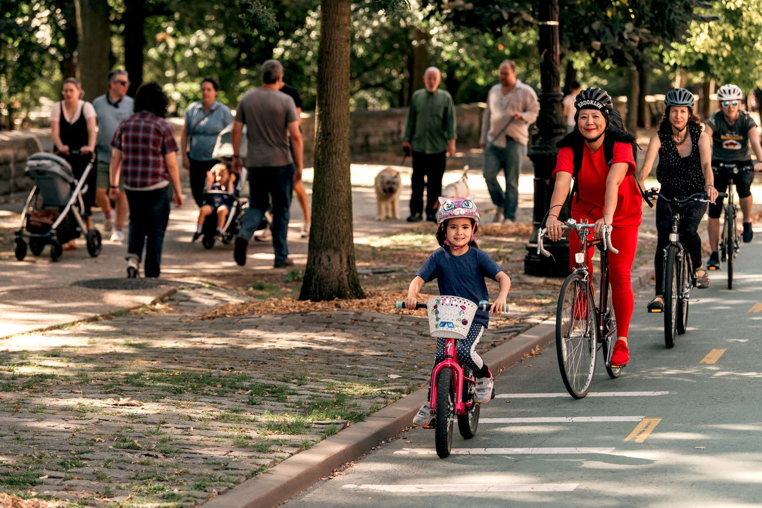 Protected Bike Lanes
