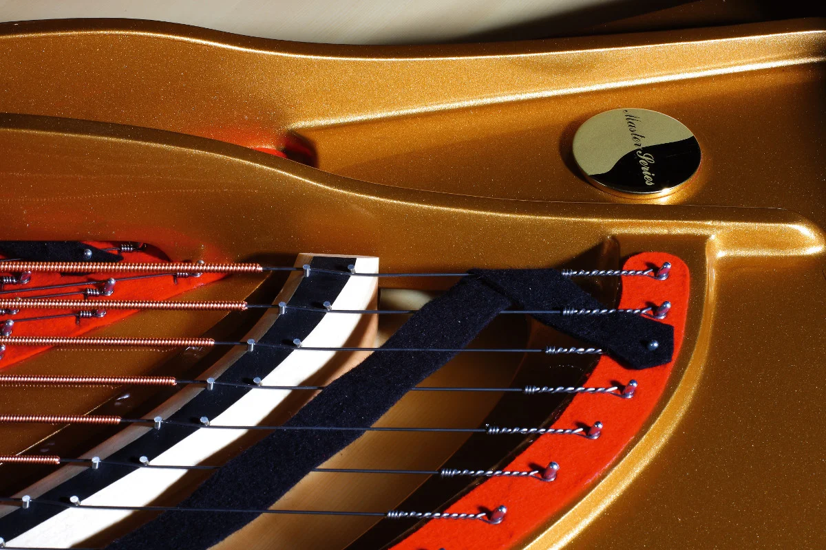P284 Mistral Frame Up Close.jpg