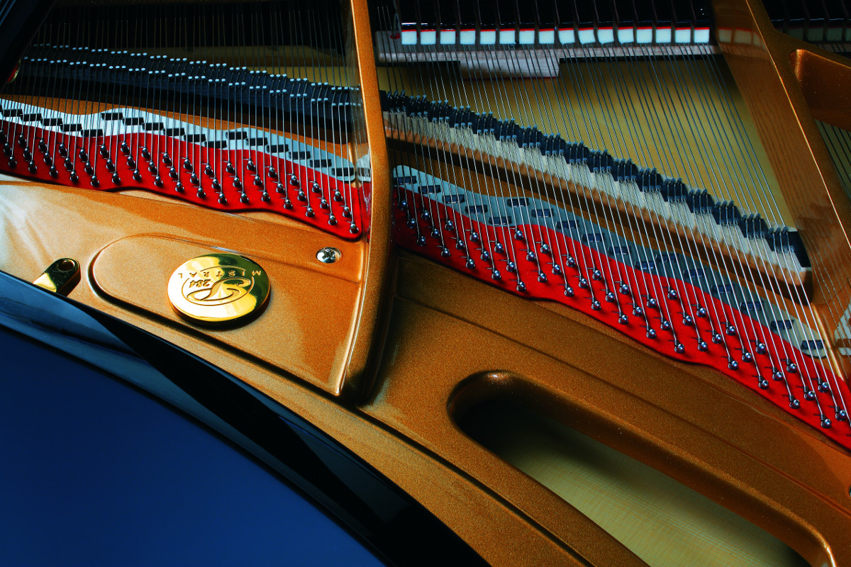 P284 Mistral Strings Up Close.jpg