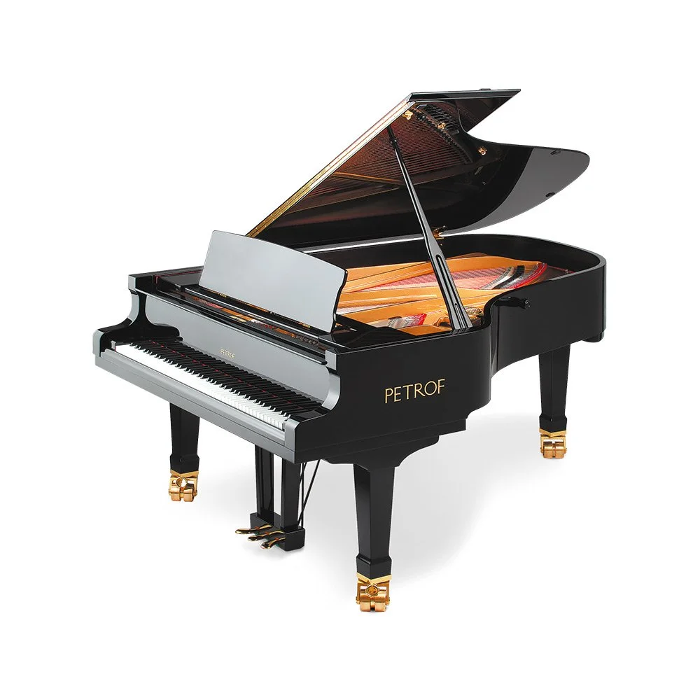 P210 Pasat Full Piano Shot.jpg