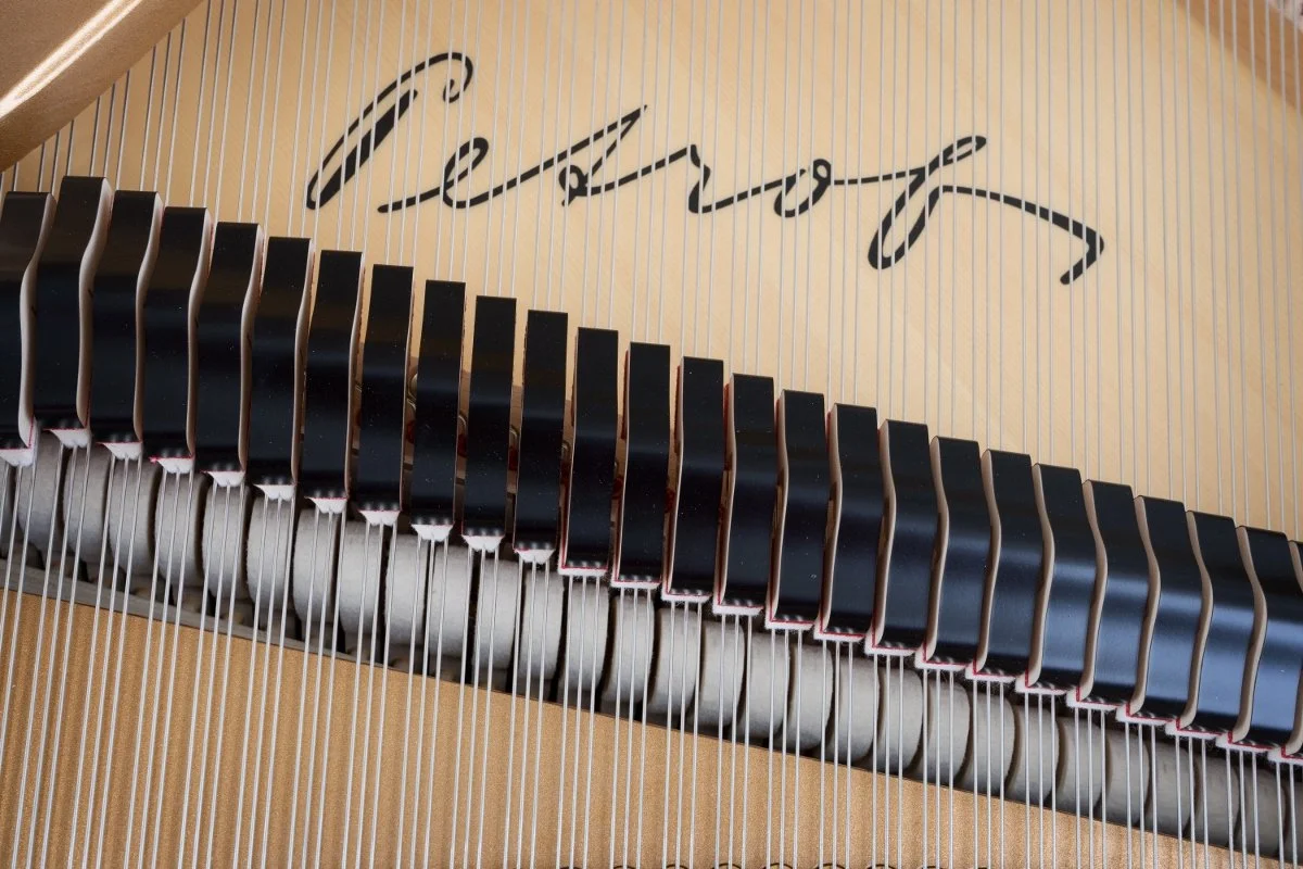 Close up strings.jpg