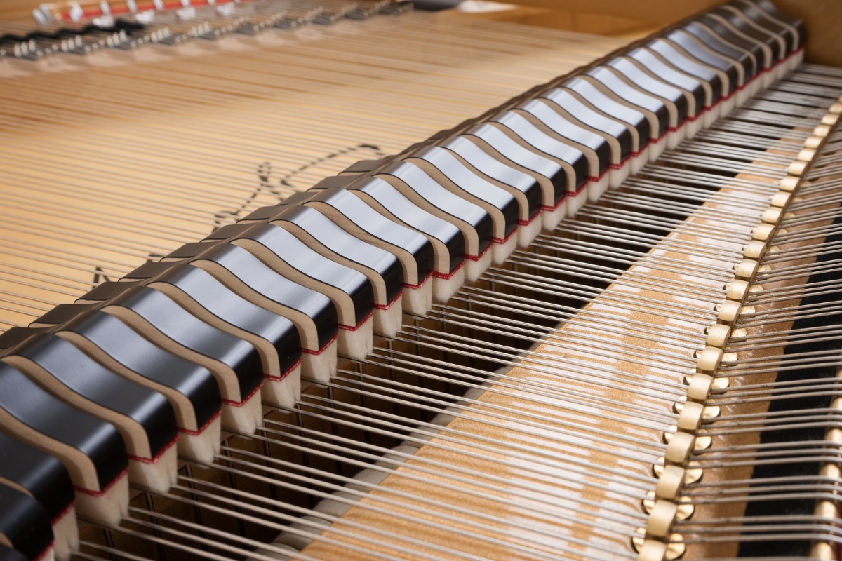 Close up strings and hammers.jpg