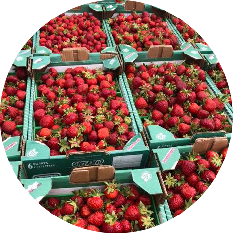 strawberriesSalesExtra.png