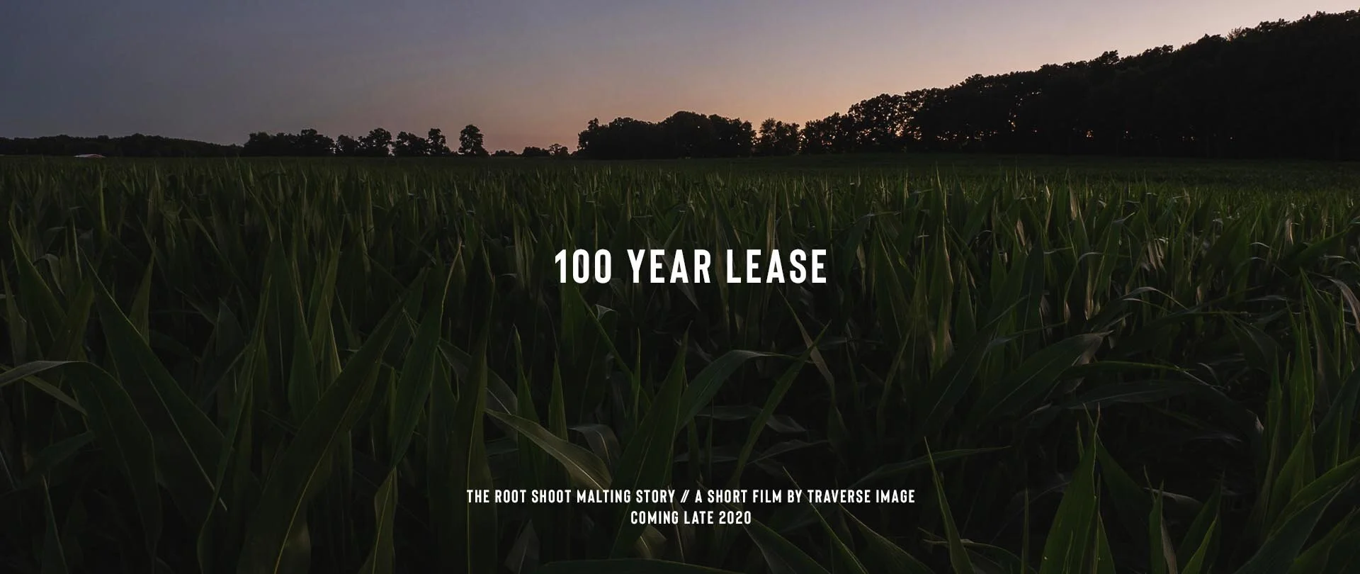 RSM_2019SF_DRAFT3_TK_02032020 copy.jpg