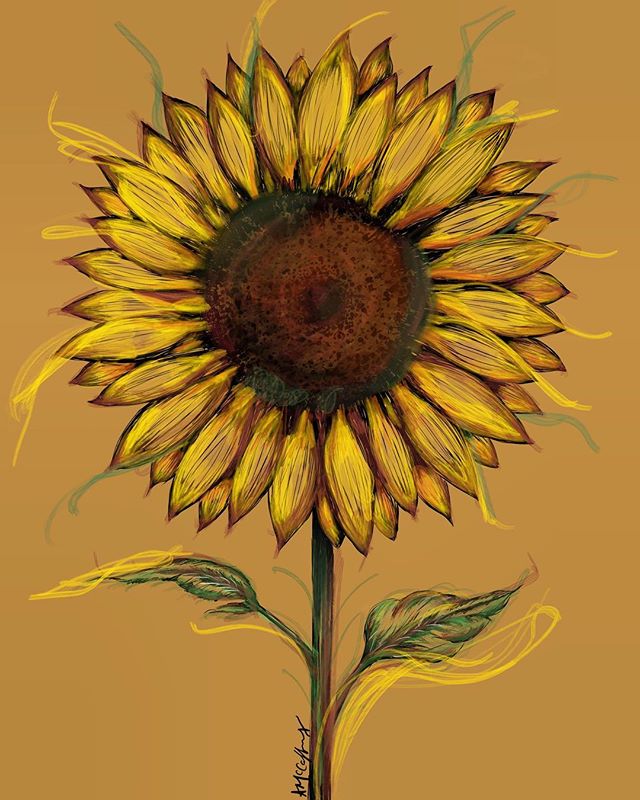 A nice sunny flower on this nice sunny day! Done on #procreate when I had no idea what I was doing... ENJOY 🌻🌻🌻
