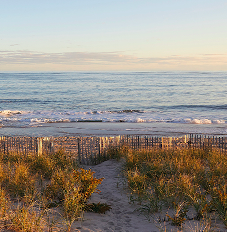 Screen Shot 2021-03-25 at 9.14.53 PM.png