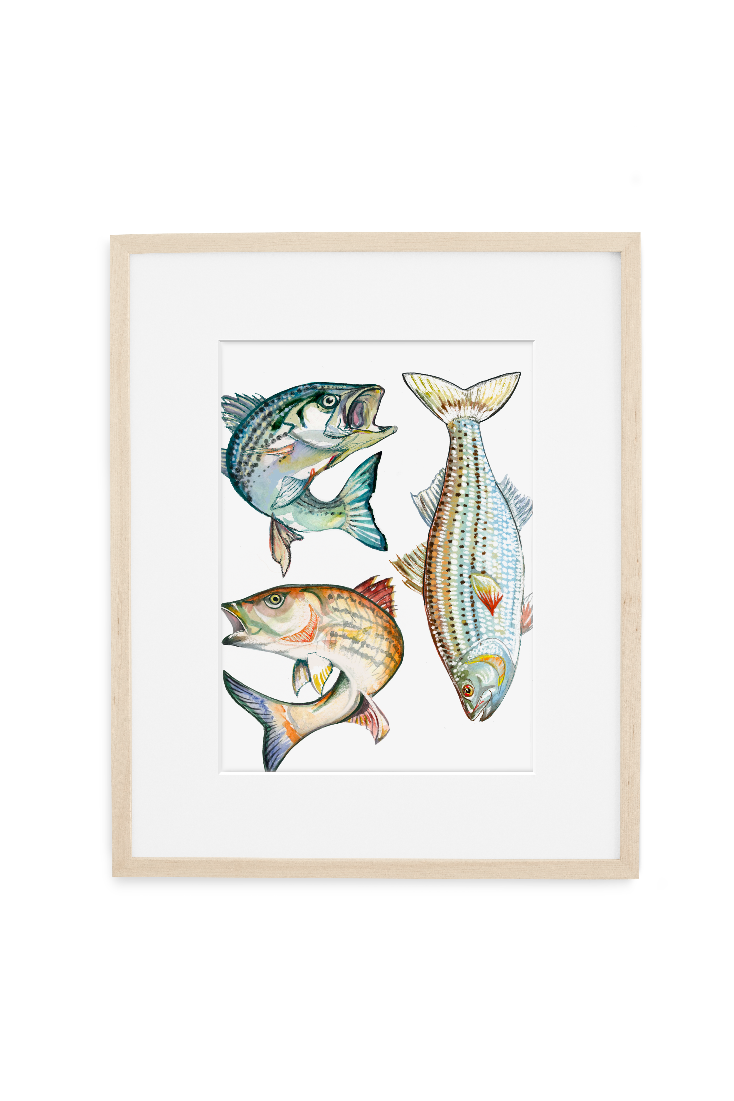 Framing Vertical_Fish.png
