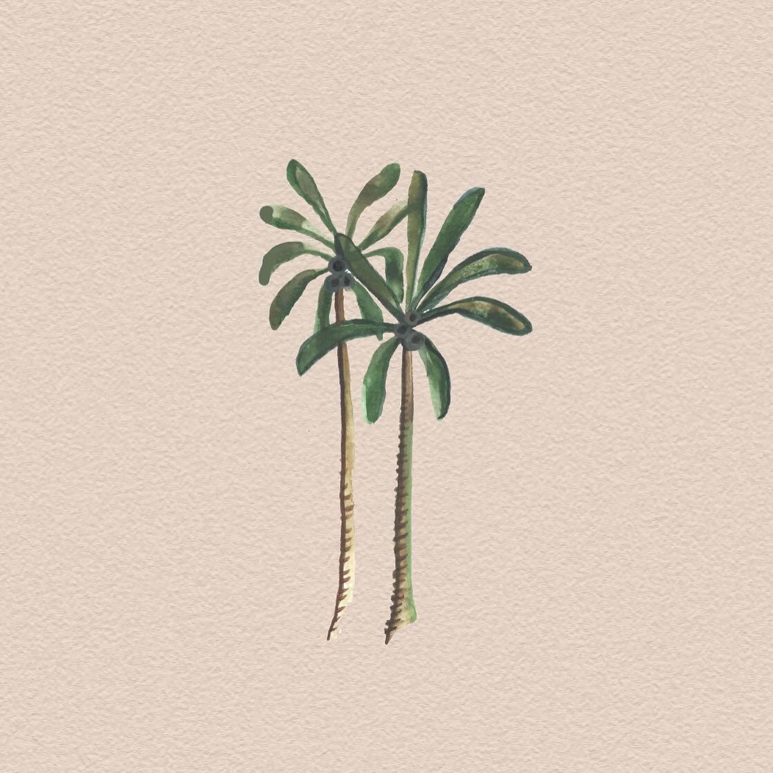 The good news? We&rsquo;ve officially taken watercolor wedding suites to South Florida!! The bad news? This one may cause your saved Pinterest boards to feel&hellip; irrelevant 🤷🏻&zwj;♀️ invite reveal coming soon, so stay tuned if you&rsquo;re into