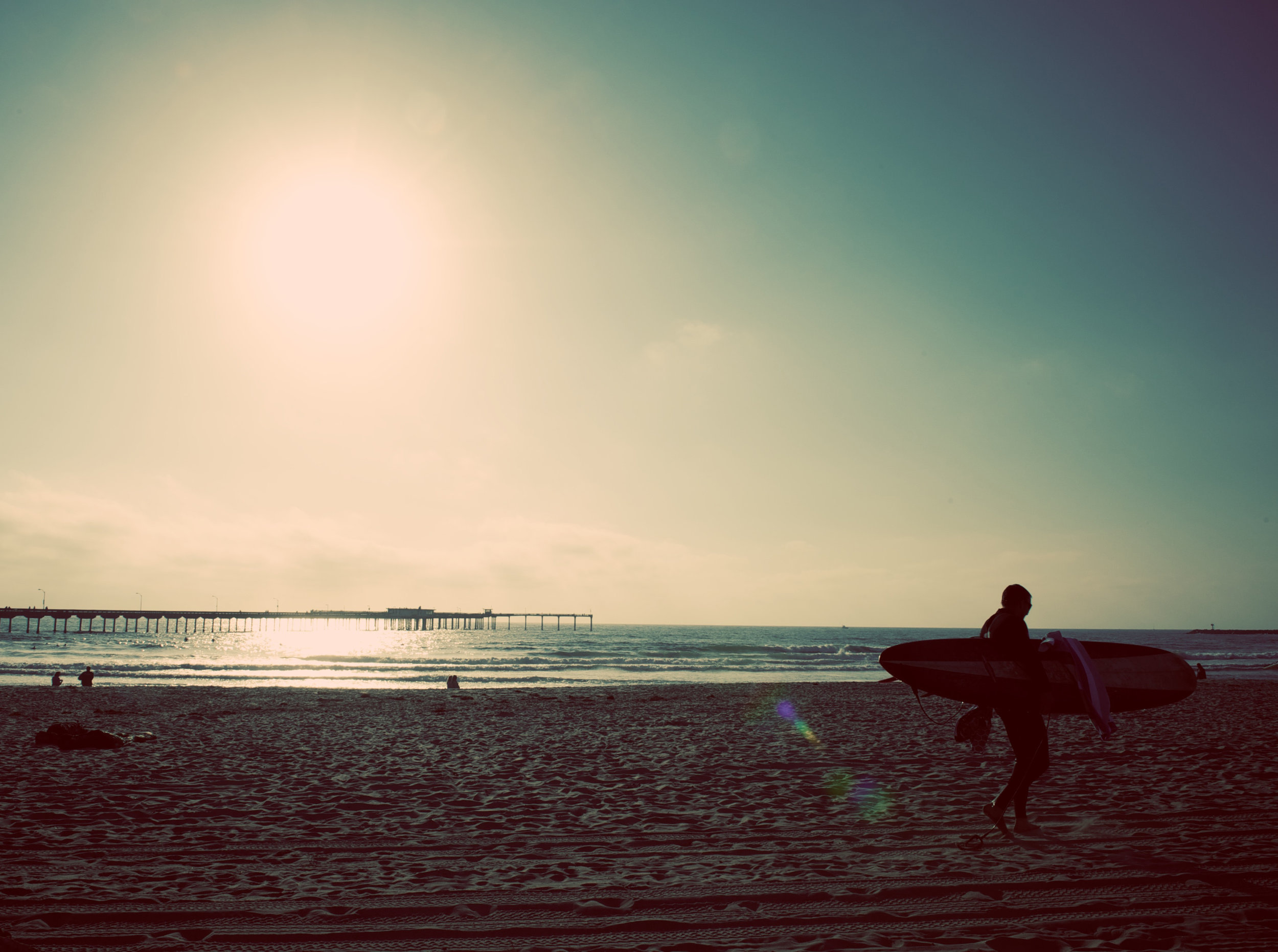 Roamer website banner.jpg