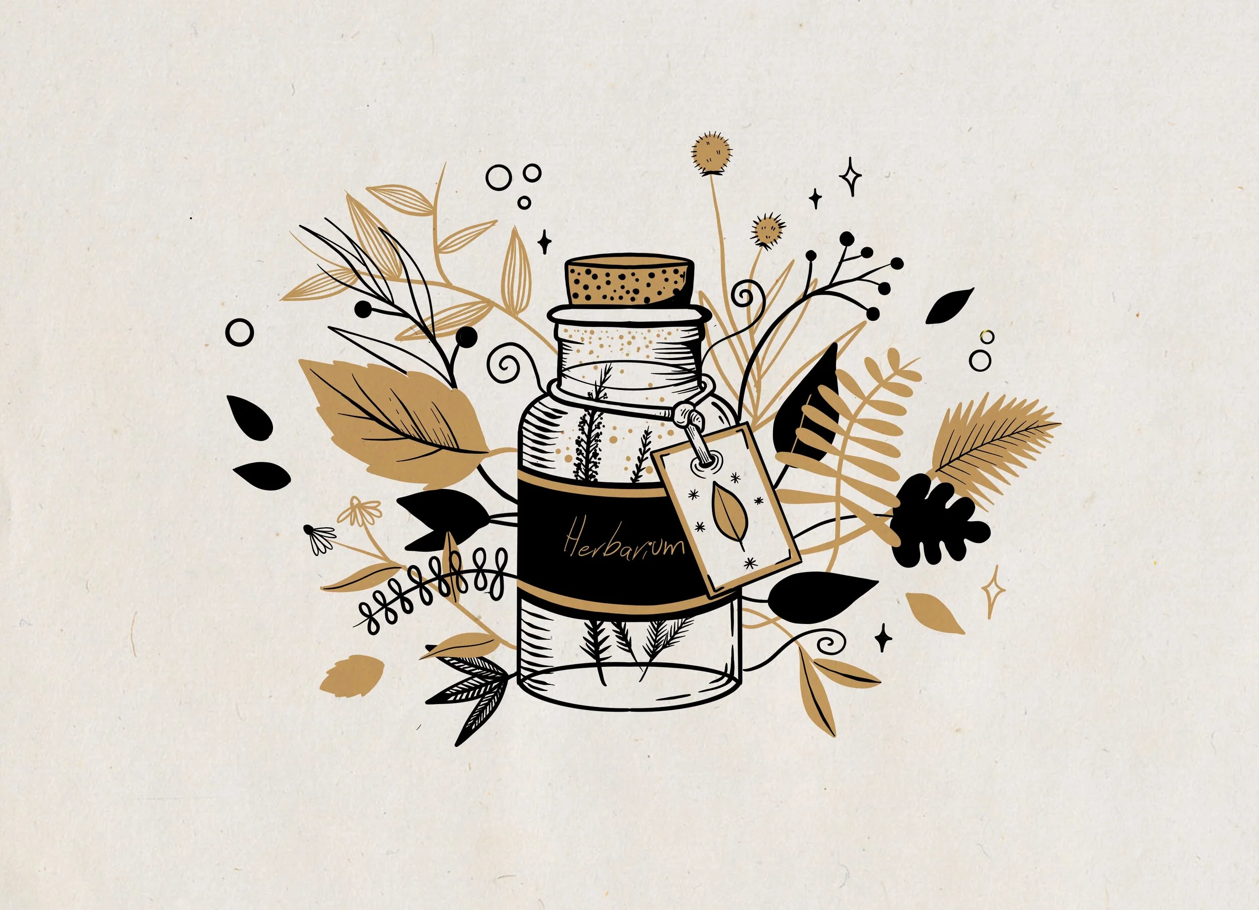 Ilustración_sin_título 96.jpg