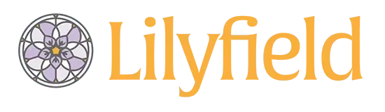 Lilyfield POD Meeting Activity - OKC