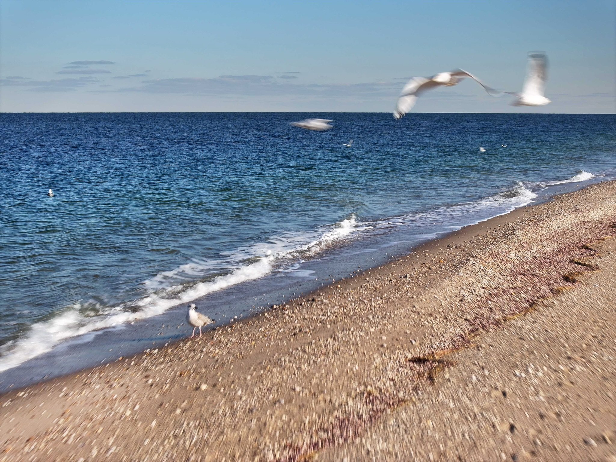 DJI_20231213010605_0229_D 2.jpeg