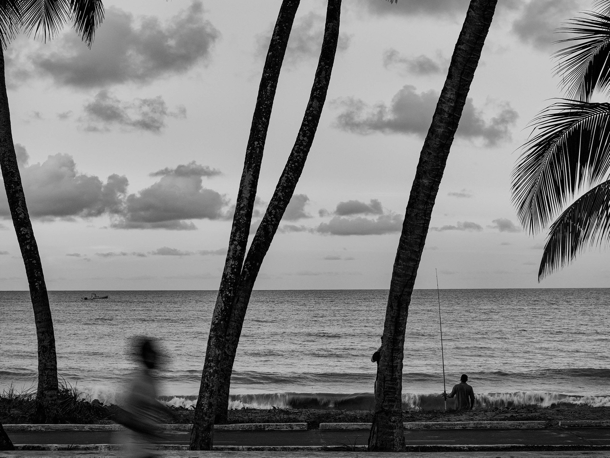 DJI_20240310105402_0599_D.jpeg