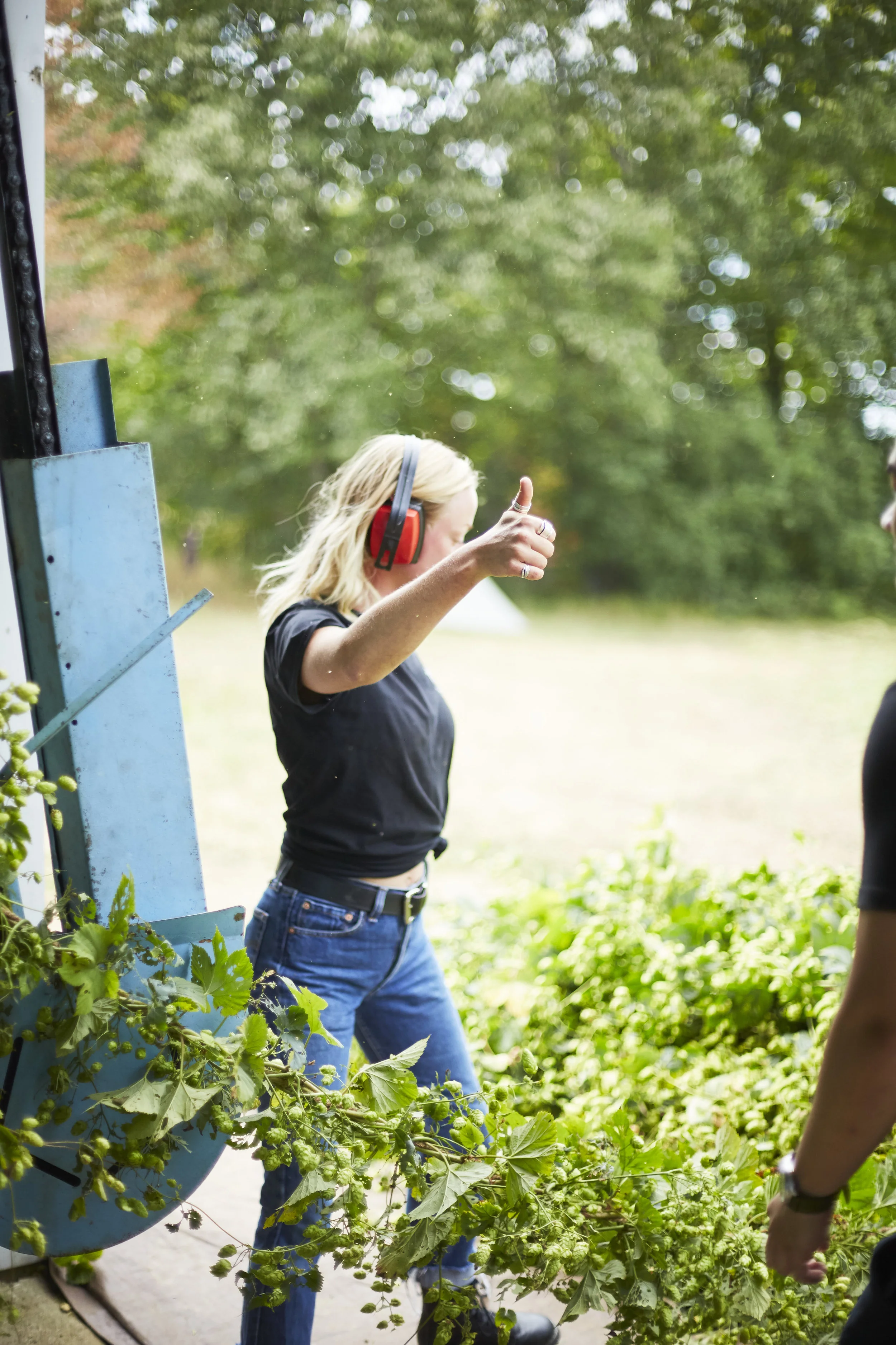 Elise Ekvall Harvest C. 2019