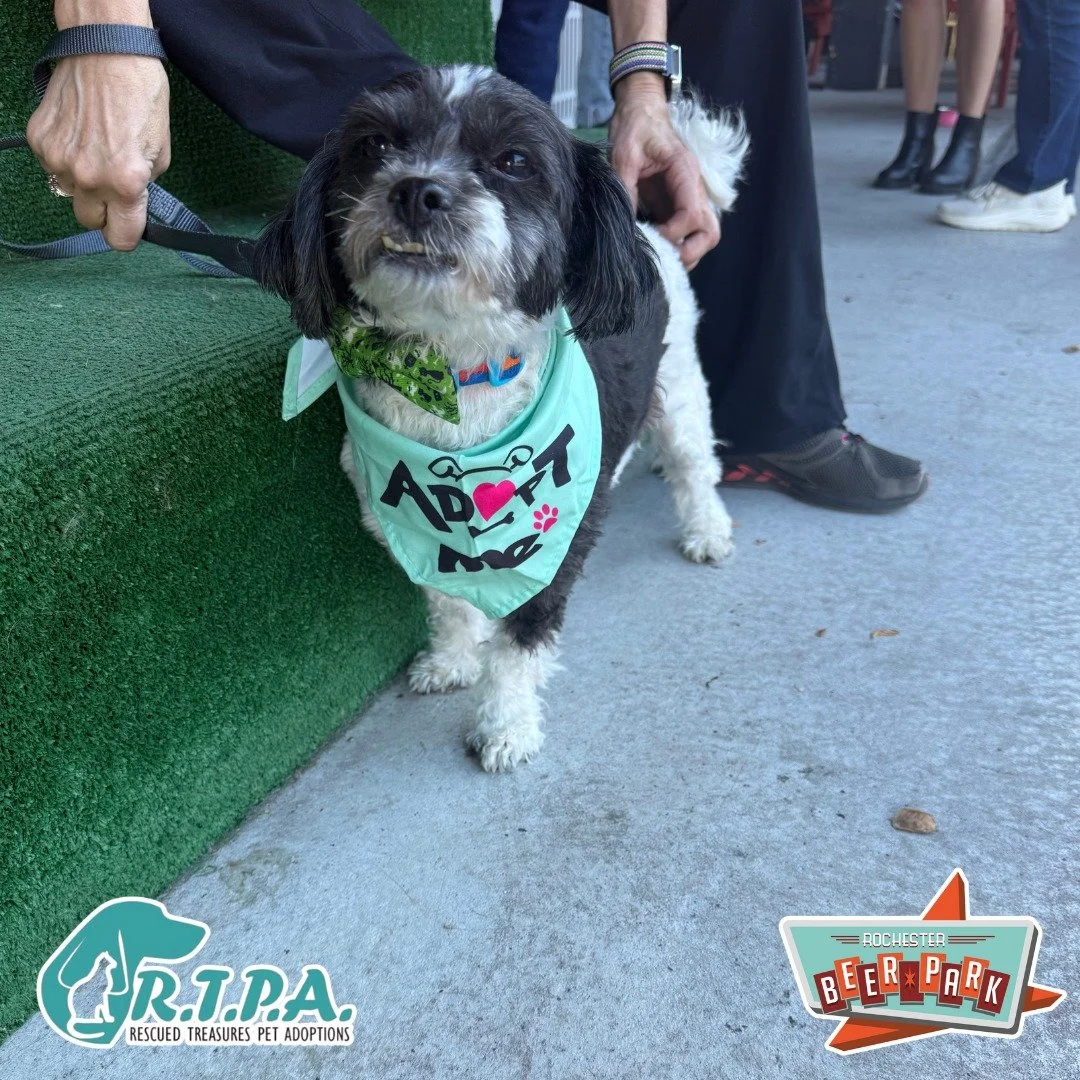 Thank you to everyone who came to our Pints &amp; Pets event with @rtpadoptions ! 🐶🐾