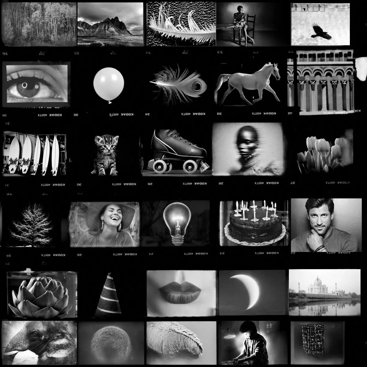 A collage of black and white photos including landscapes, animals, objects, people, and artistic images.