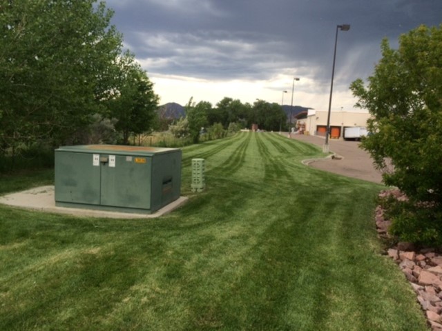 Maintenance grass pic.jpg