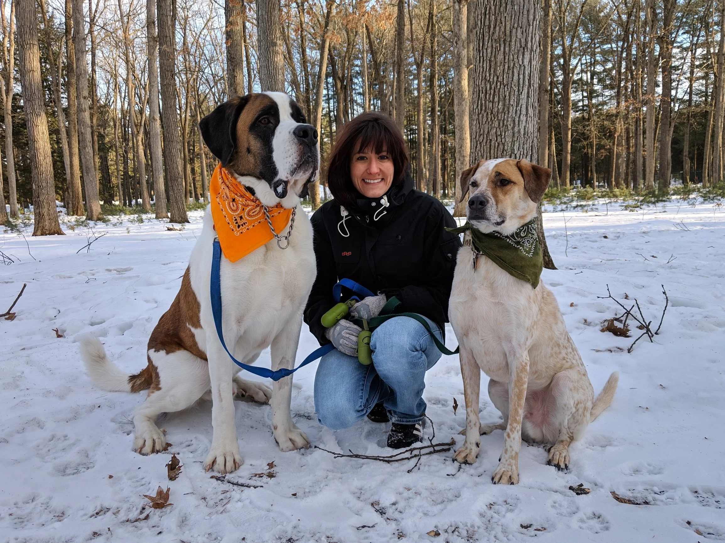 in home dog behaviorist