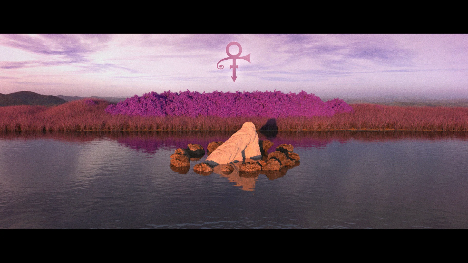 Purple Music (Tribute to Prince)