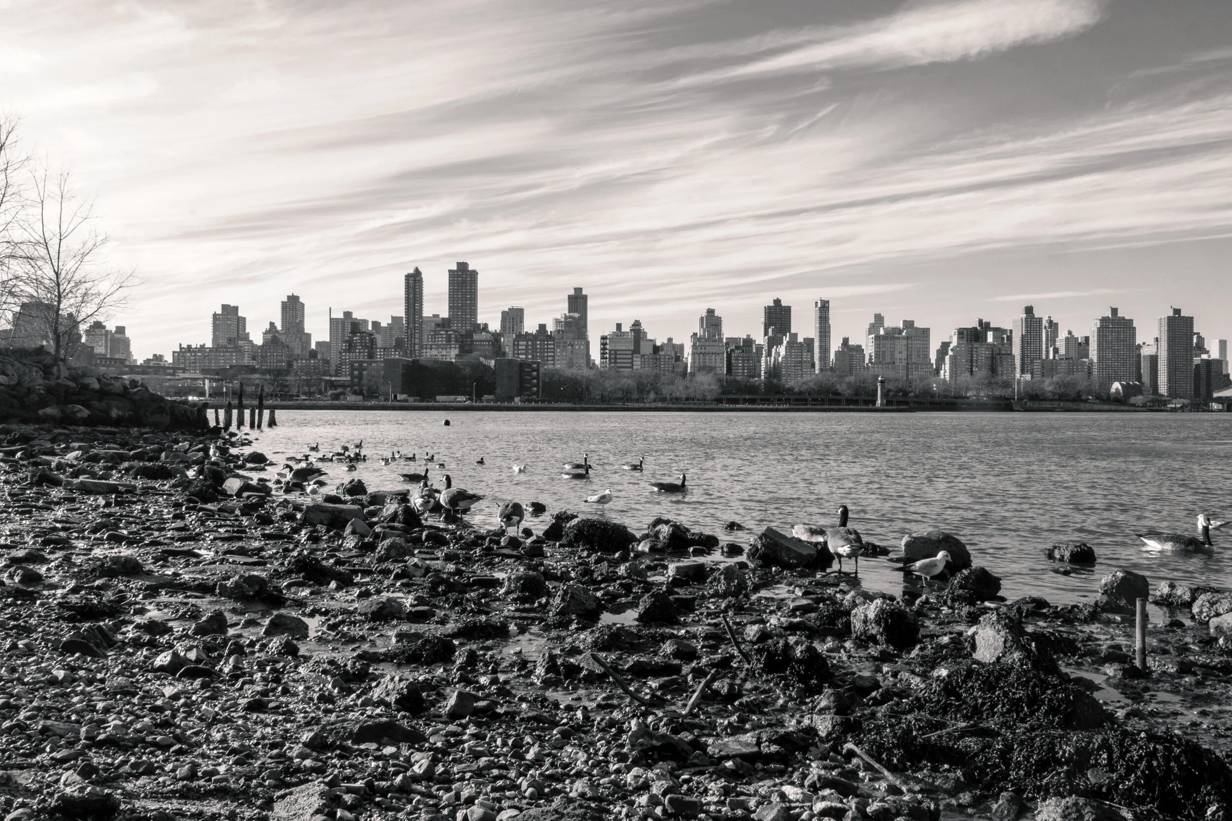 Socrates Sculpture Park, Astoria, Queens