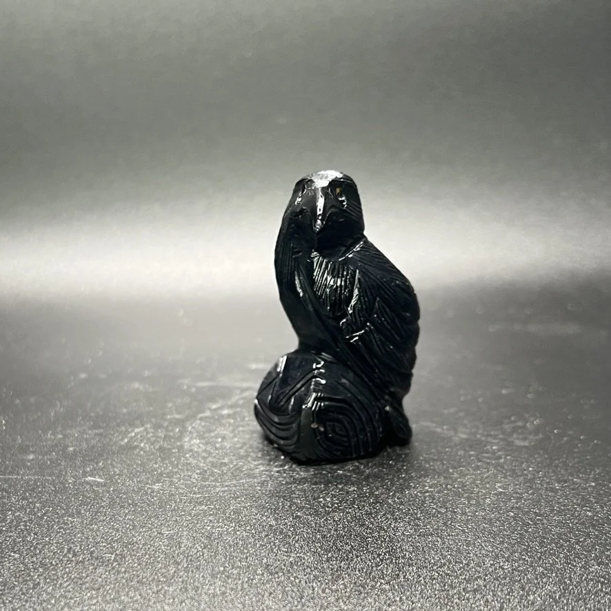 Small Onyx Carved Raven — Boyden Cavern