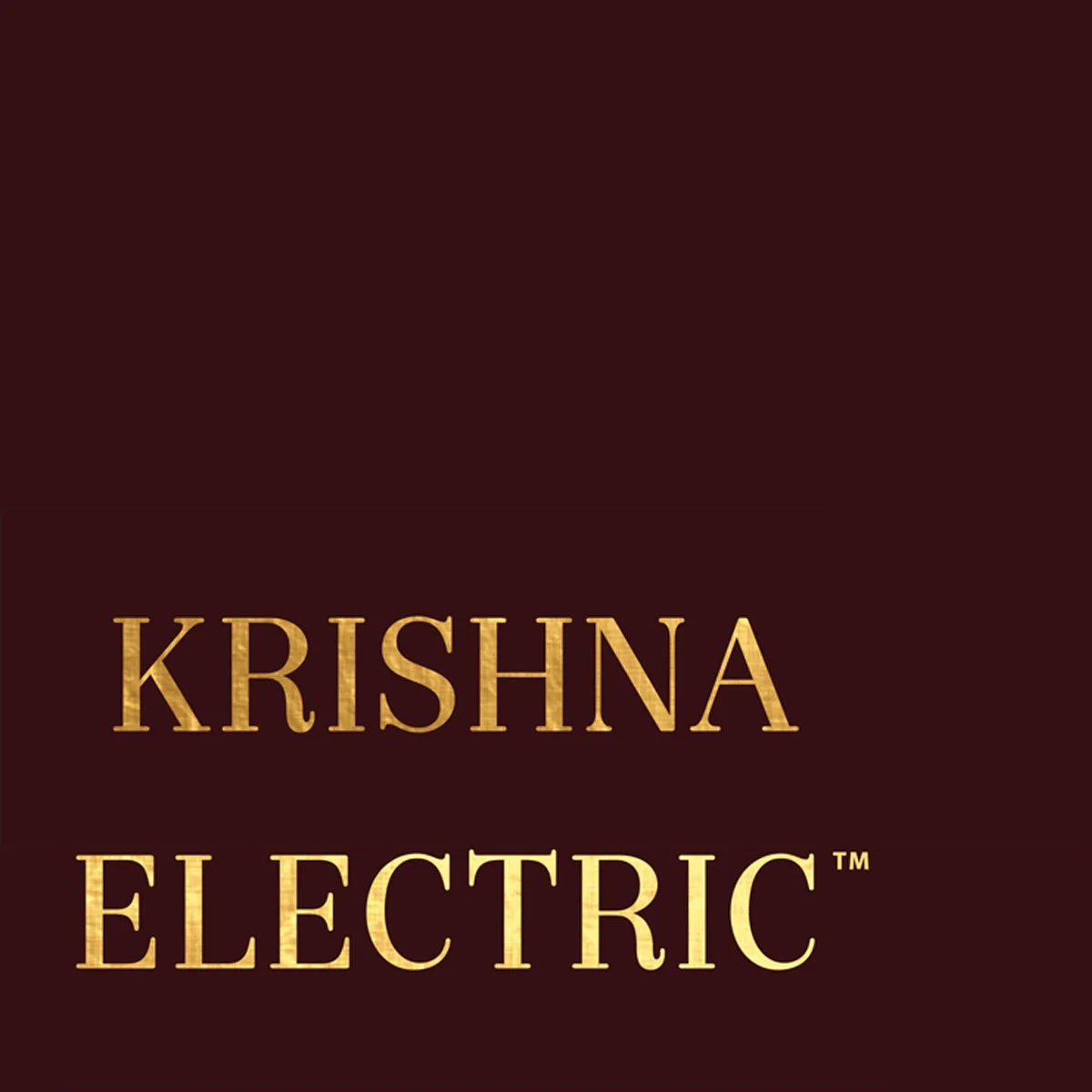 Krishna Electric™ Kirtan Gathering TICKET - LIVE EVENT