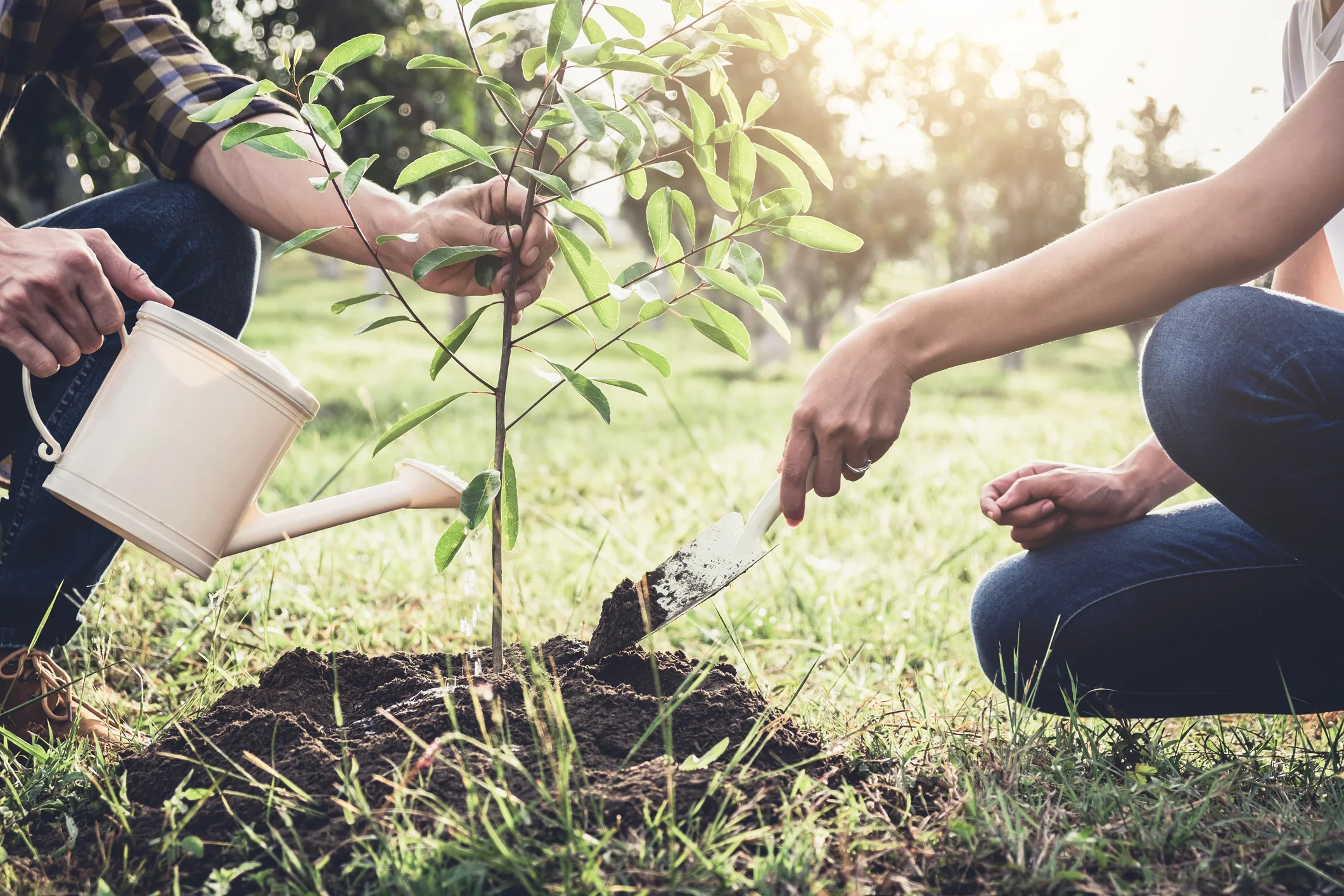 PlantingSeeds.jpg
