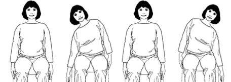 Lower Back Exercise - Touchline Physio
