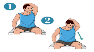 Neck Stretching - touchline physio