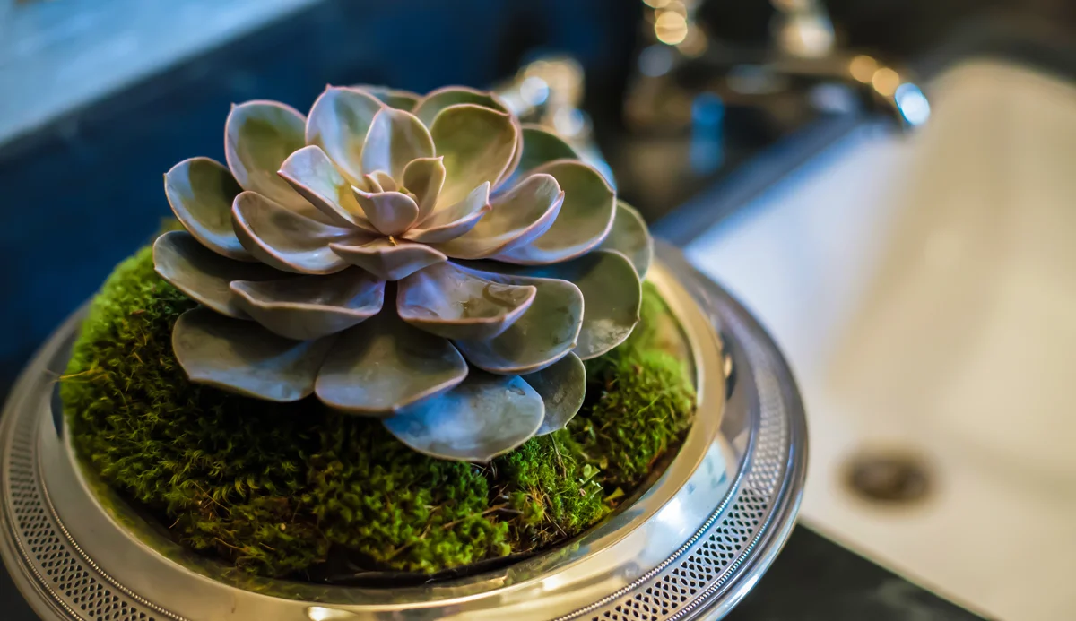 Caroline-V-Smith-Interiors-Memphis-3-17.jpg