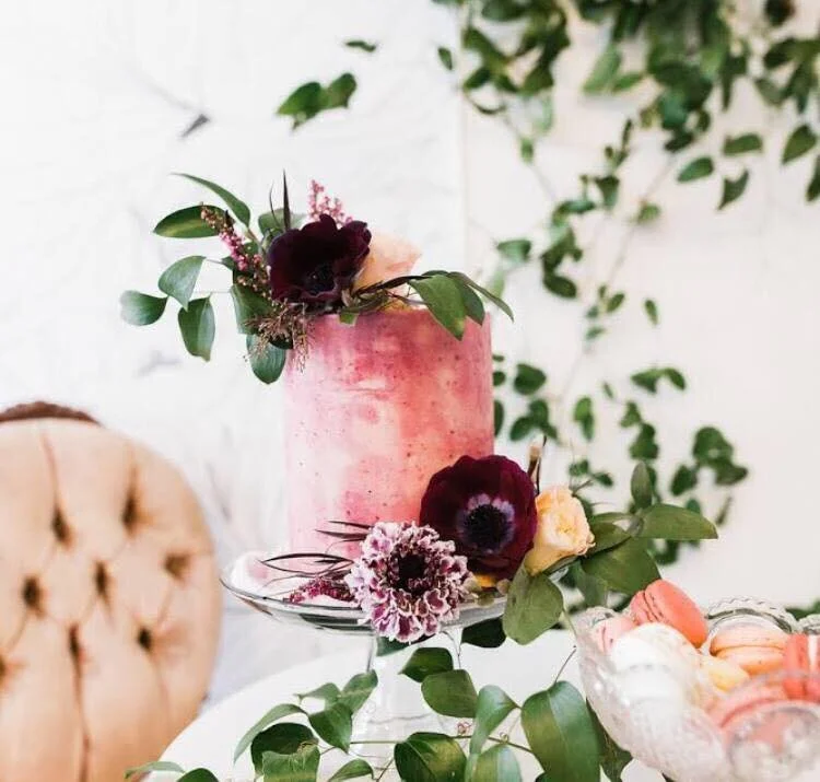 Rachel Birkhofer Photography