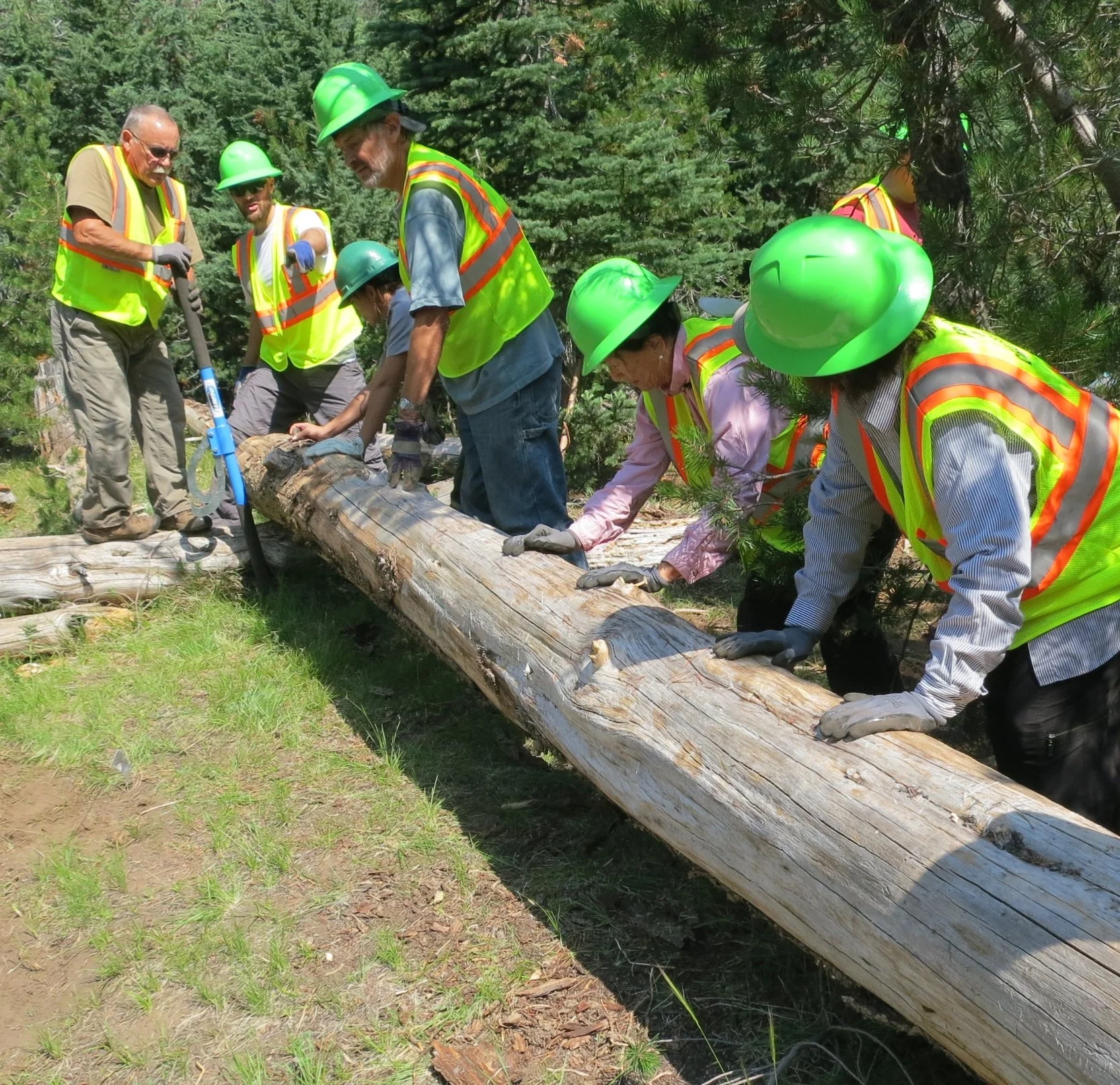 Individual Lifetime Membership