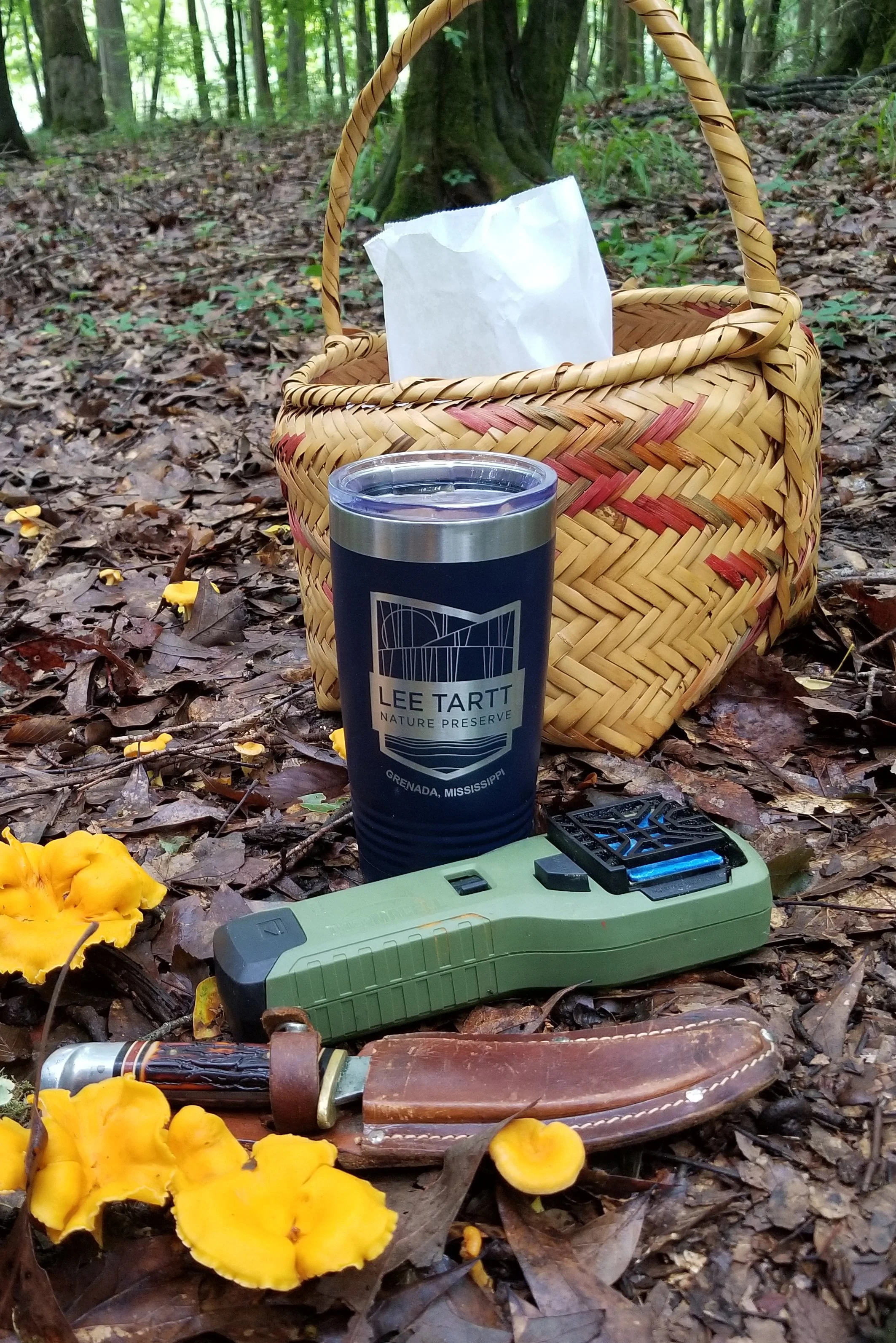 mug_ltnp_blue.jpg