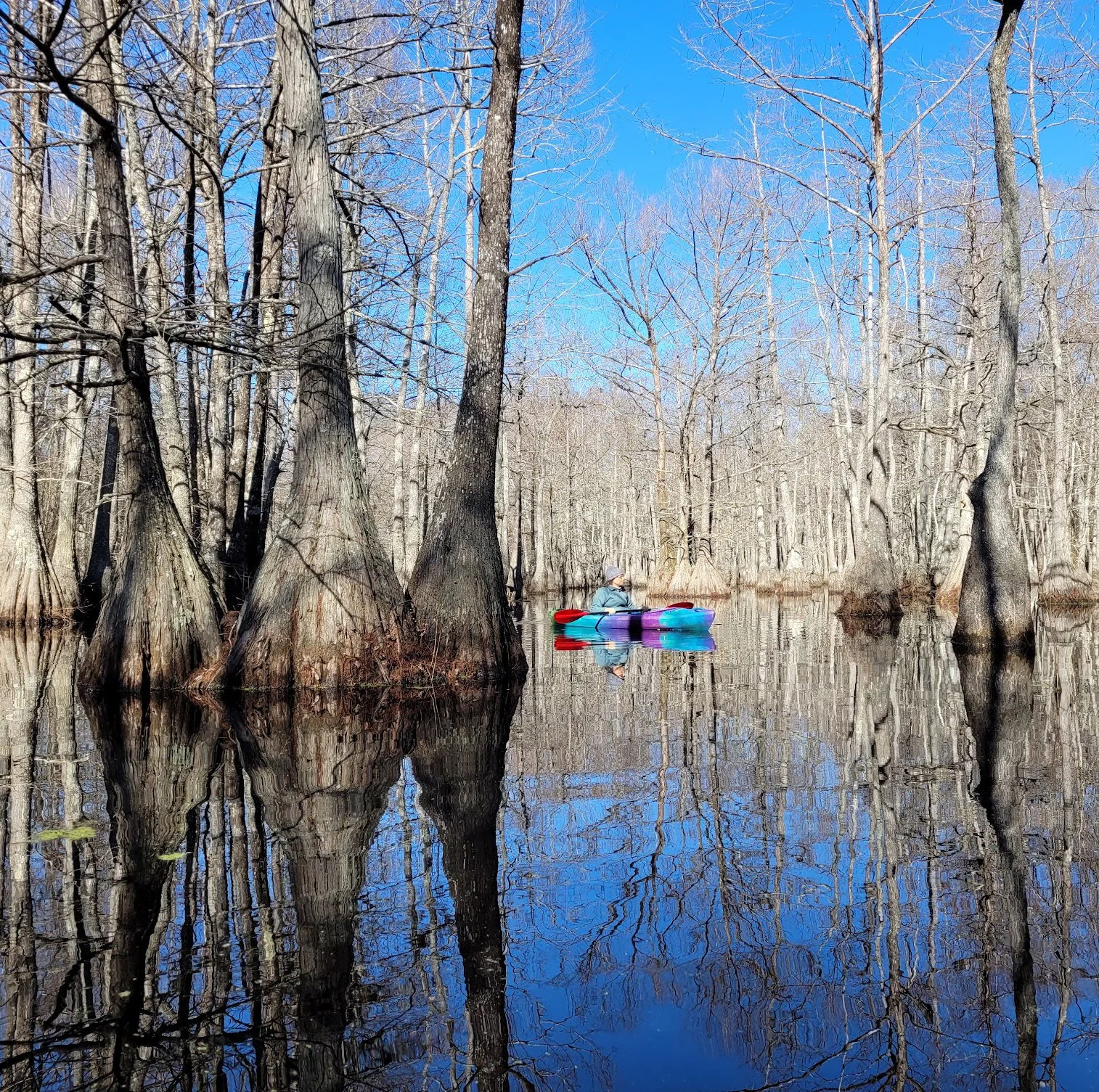 SWAMP CAMP for grown folks