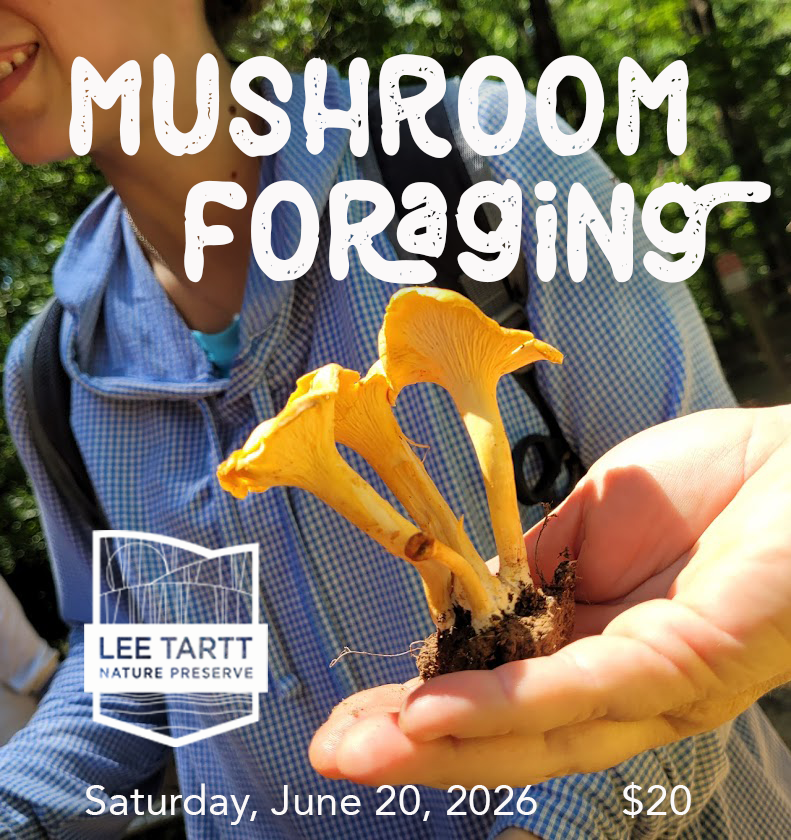 mushroom foraging 2026.png
