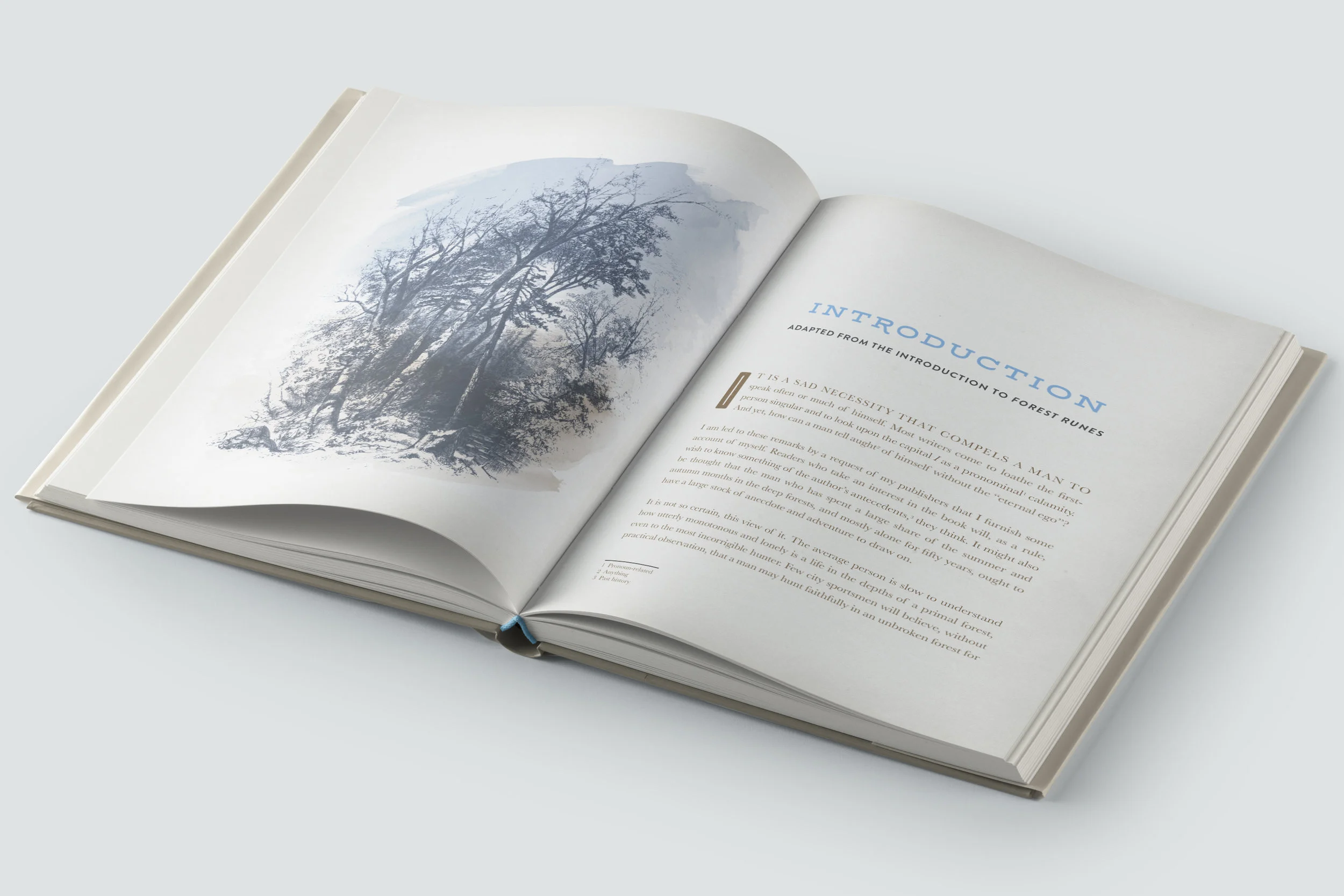 Forest Life spread 1.jpg